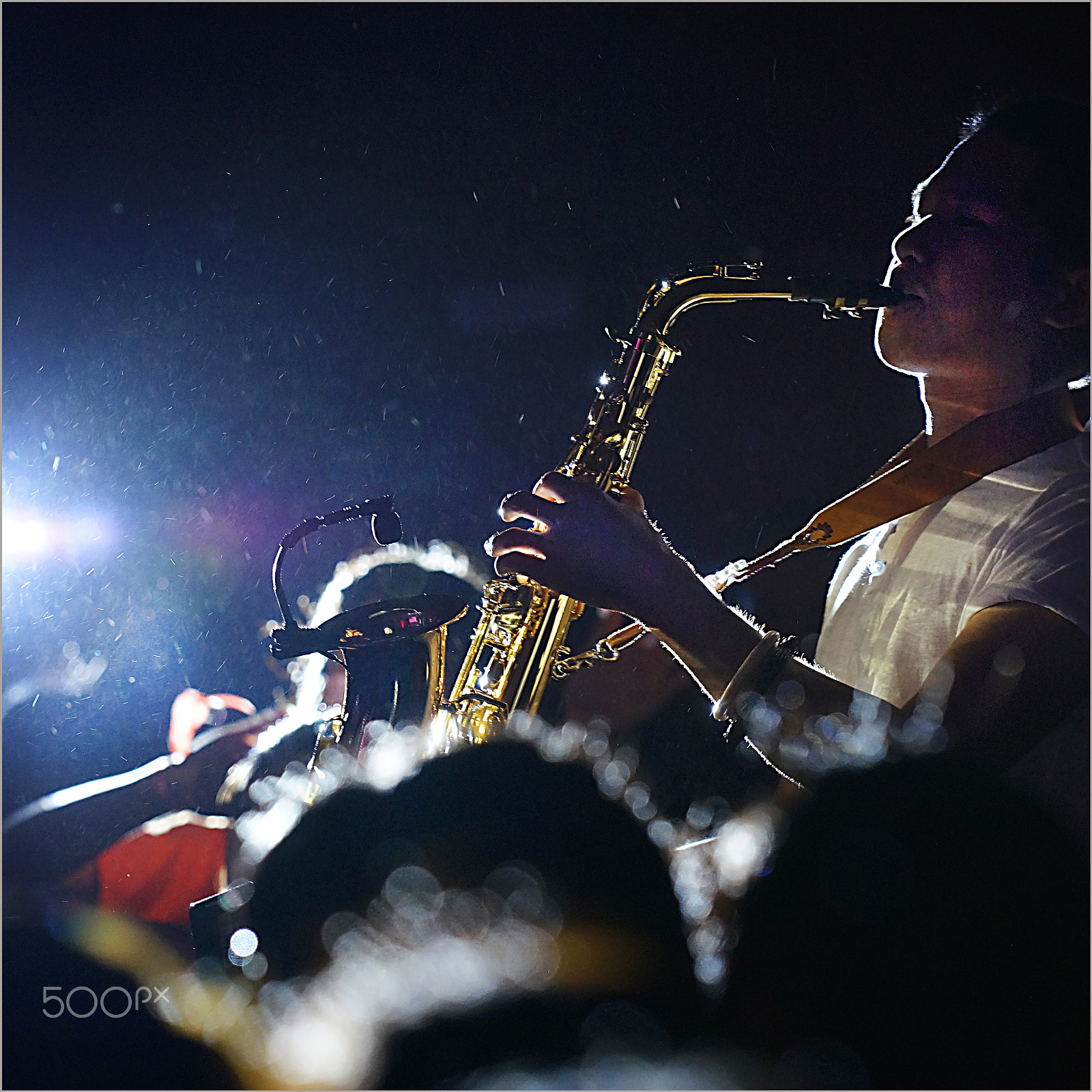 Sony a99 II + Minolta/Sony AF 70-200mm F2.8 G sample photo. The color of light. photography