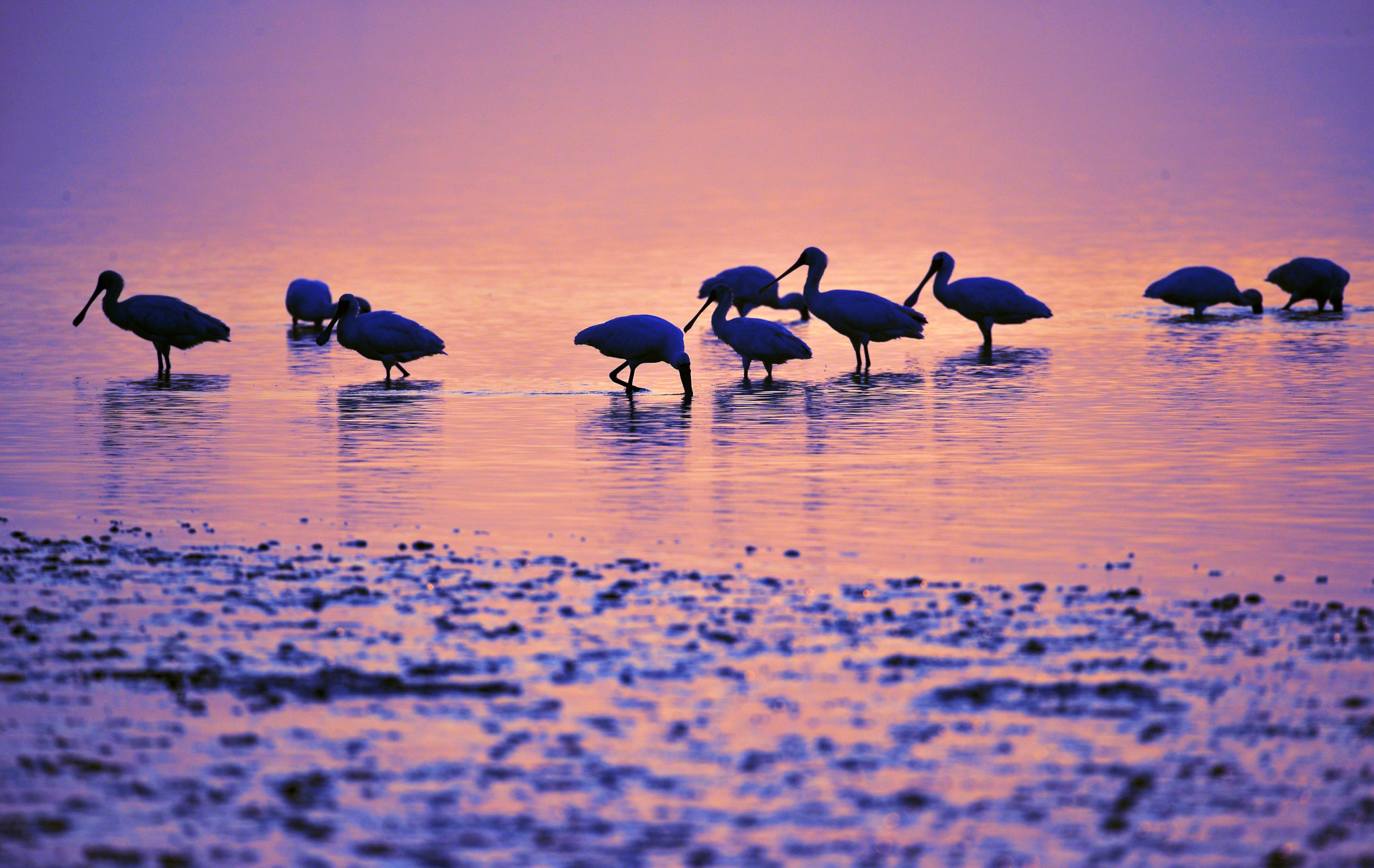 Sigma 150-600mm F5-6.3 DG OS HSM | S sample photo