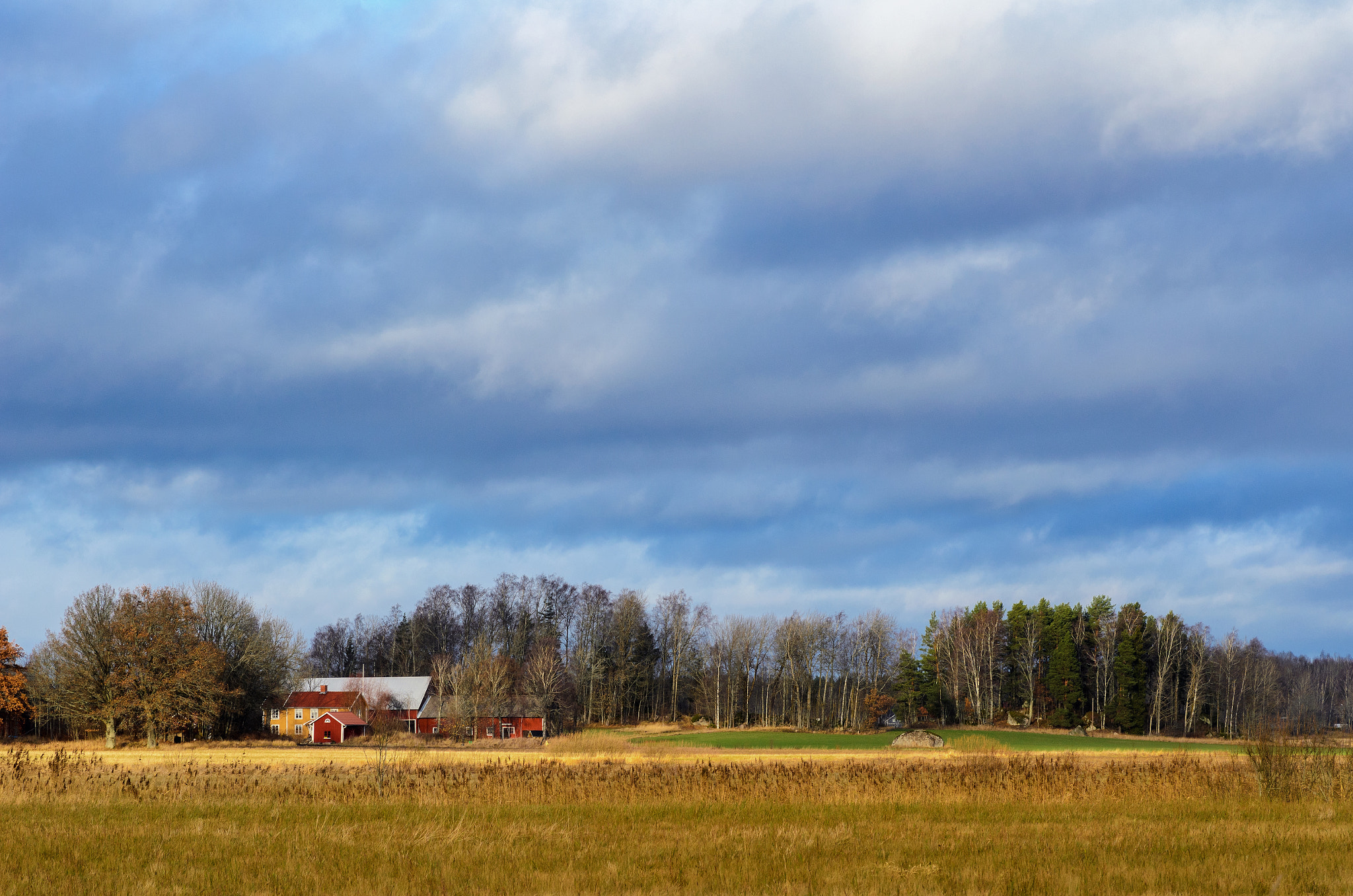 Tokina AT-X Pro 100mm F2.8 Macro sample photo. When the winter melted away photography