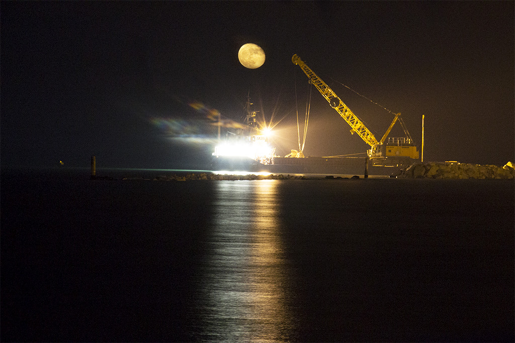 Canon EOS 650D (EOS Rebel T4i / EOS Kiss X6i) sample photo. Work in progress photography