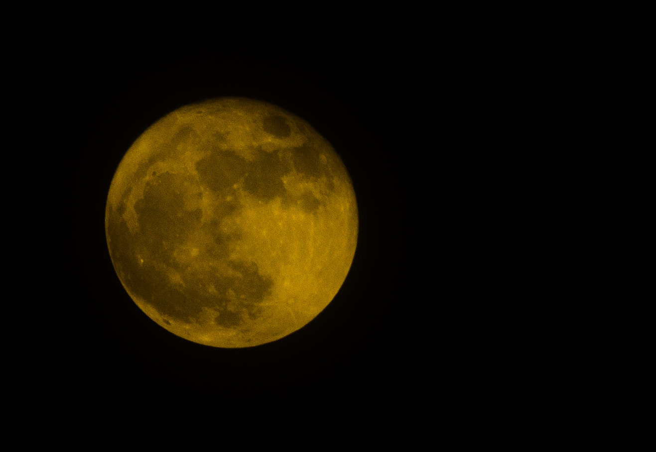 Sigma 18-250mm F3.5-6.3 DC Macro OS HSM sample photo. Dsc photography