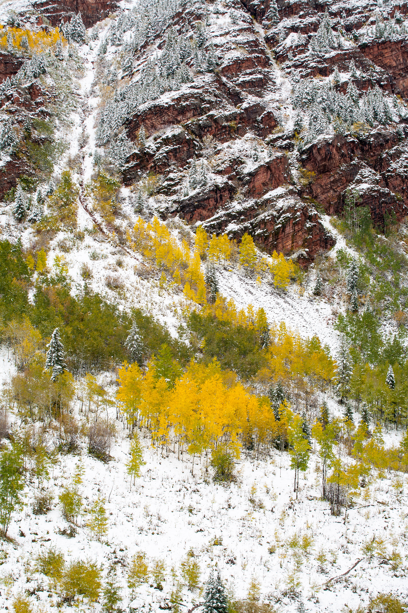 Canon EOS 5D + Canon EF 70-200mm F4L USM sample photo. Aspen and snow photography