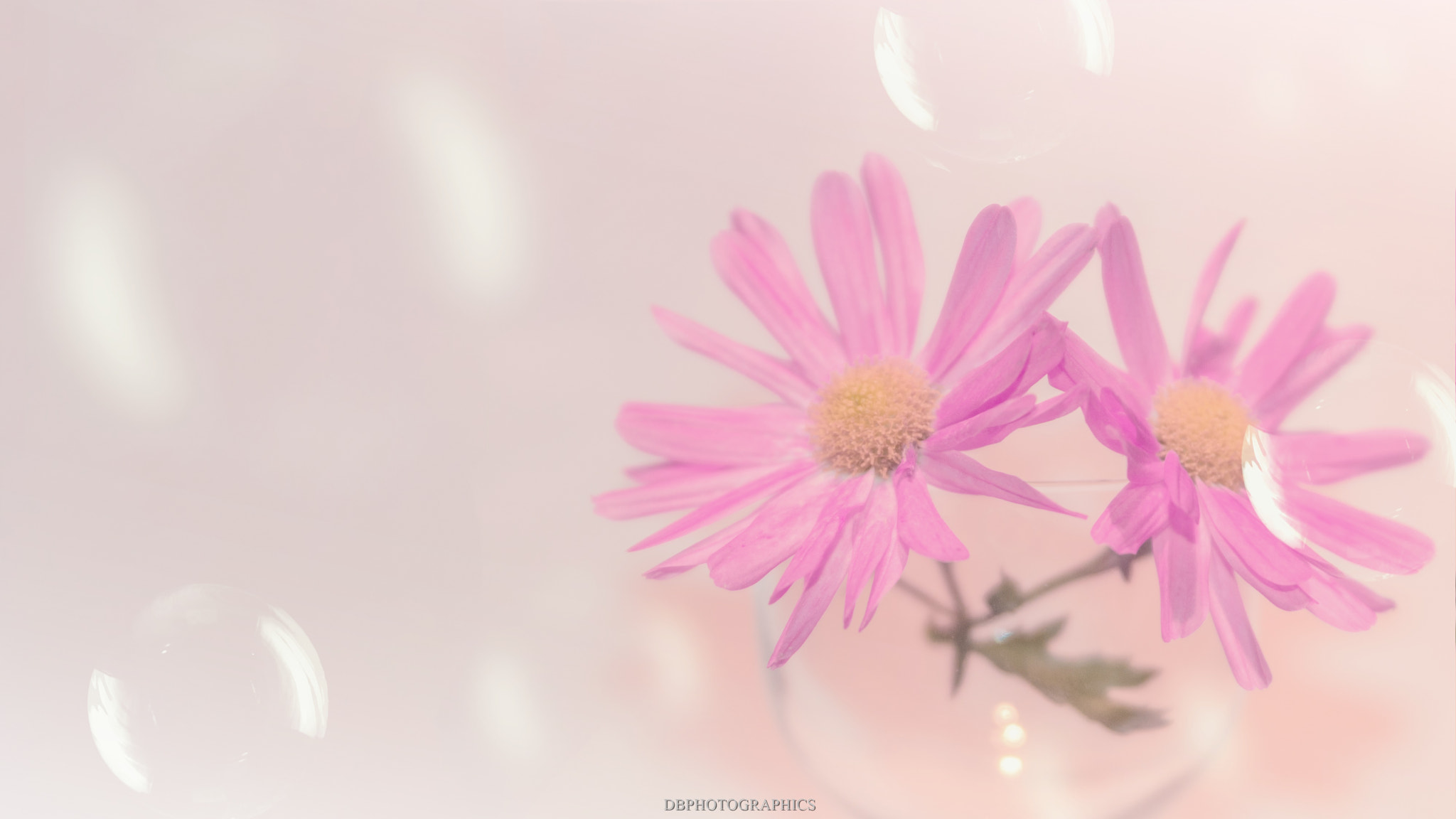 Tamron AF 28-75mm F2.8 XR Di LD Aspherical (IF) sample photo. Bubbles photography