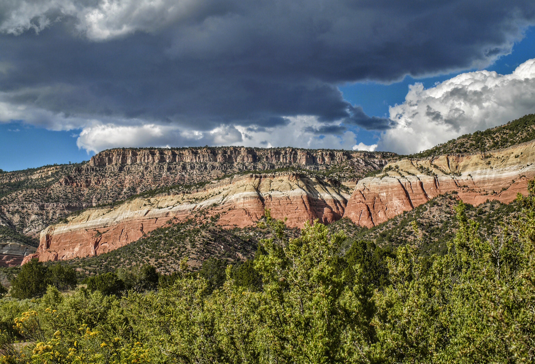 Panasonic Lumix DMC-L1 sample photo. Near abiquiu, nm photography