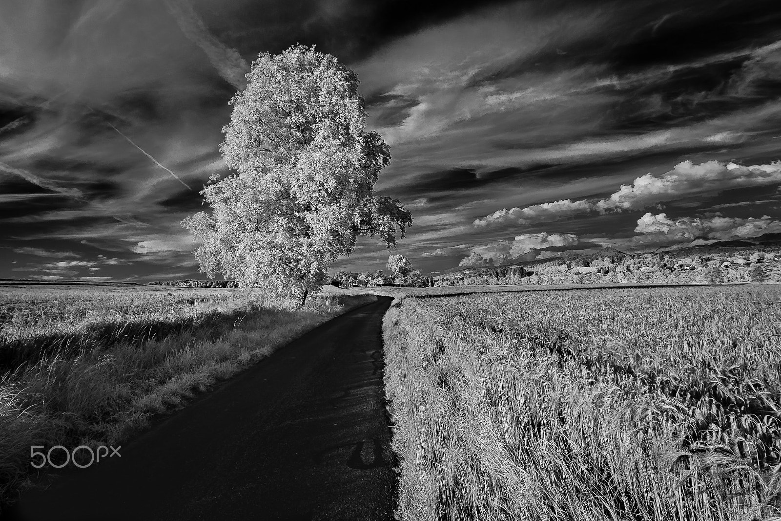 Canon EF 11-24mm F4L USM sample photo. 红外风景_瑞士_1 photography