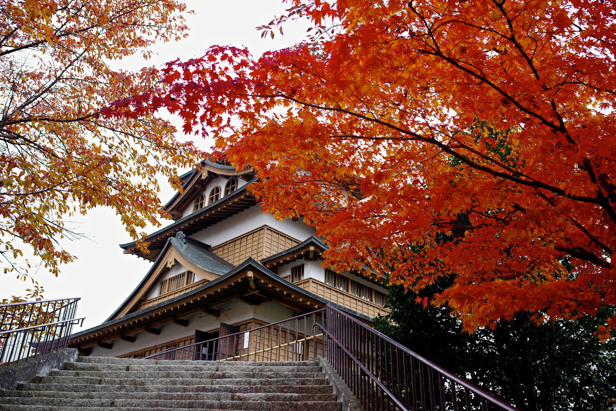 Pentax K-1 sample photo. Castle with autumn photography
