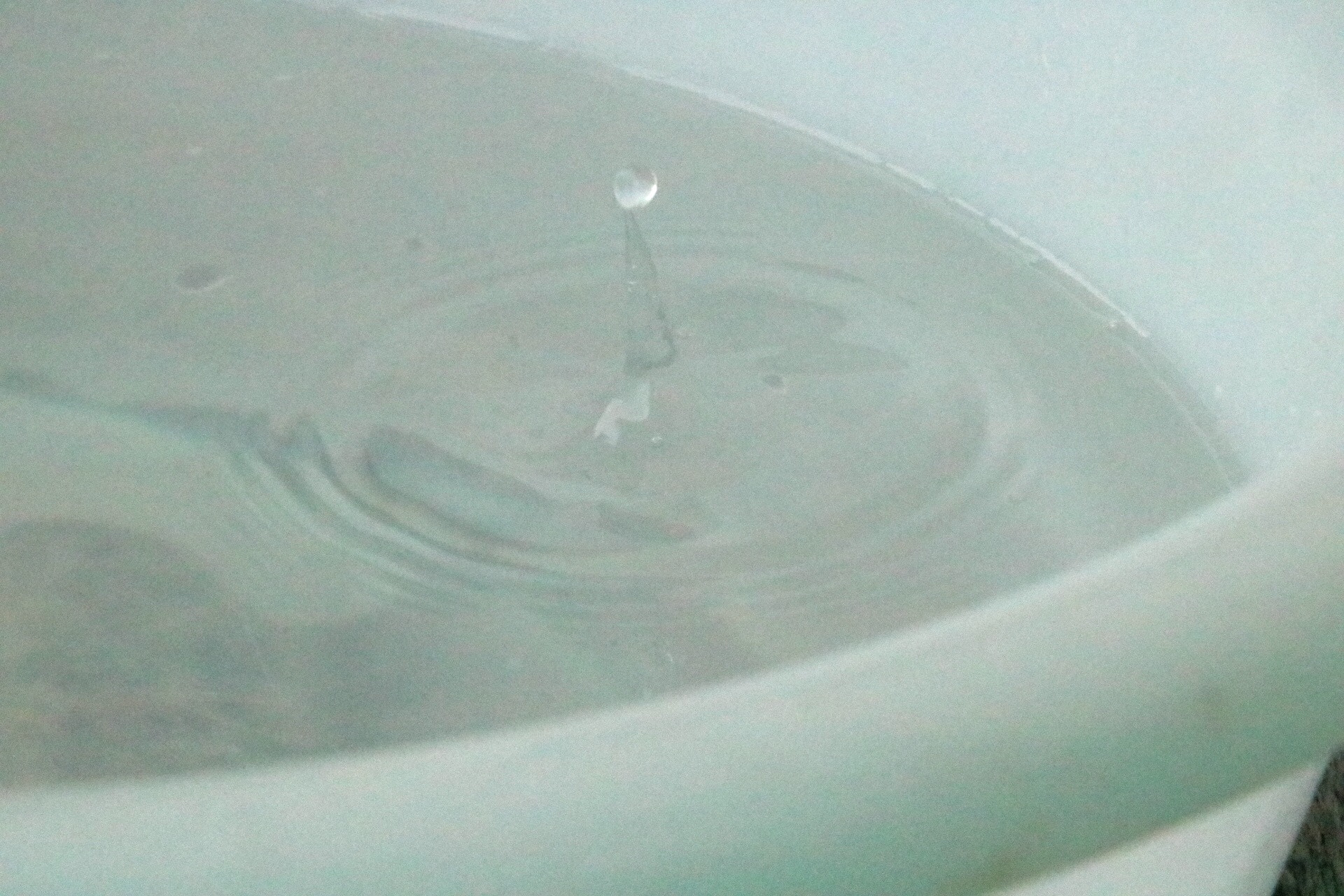 Canon EOS 760D (EOS Rebel T6s / EOS 8000D) sample photo. 水中的精灵 photography