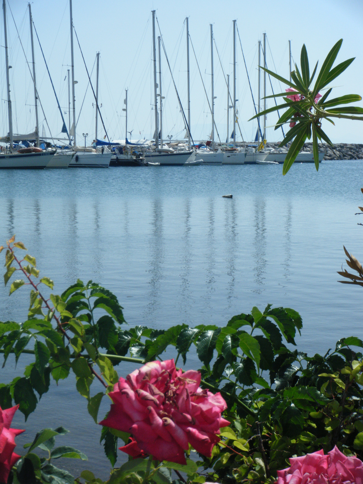 Fujifilm FinePix Z33WP sample photo. Greek islands photography