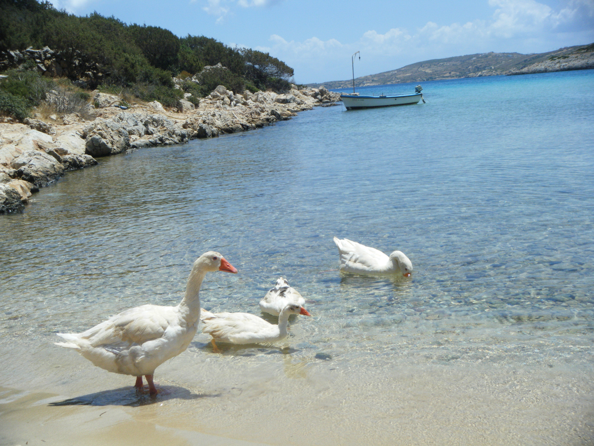 Fujifilm FinePix Z33WP sample photo. Greek islands photography
