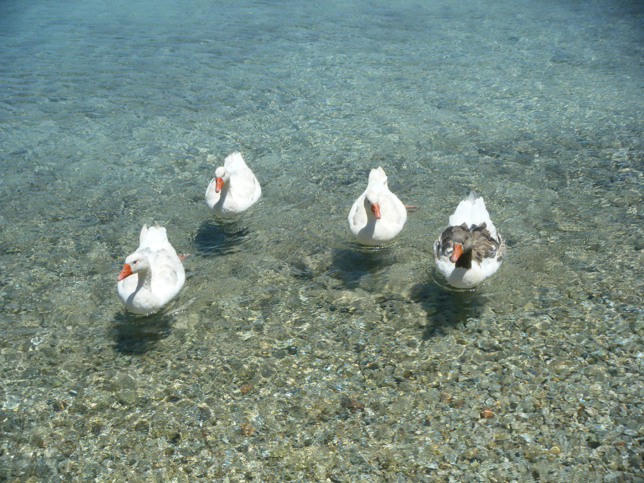 Fujifilm FinePix Z33WP sample photo. Greek islands photography