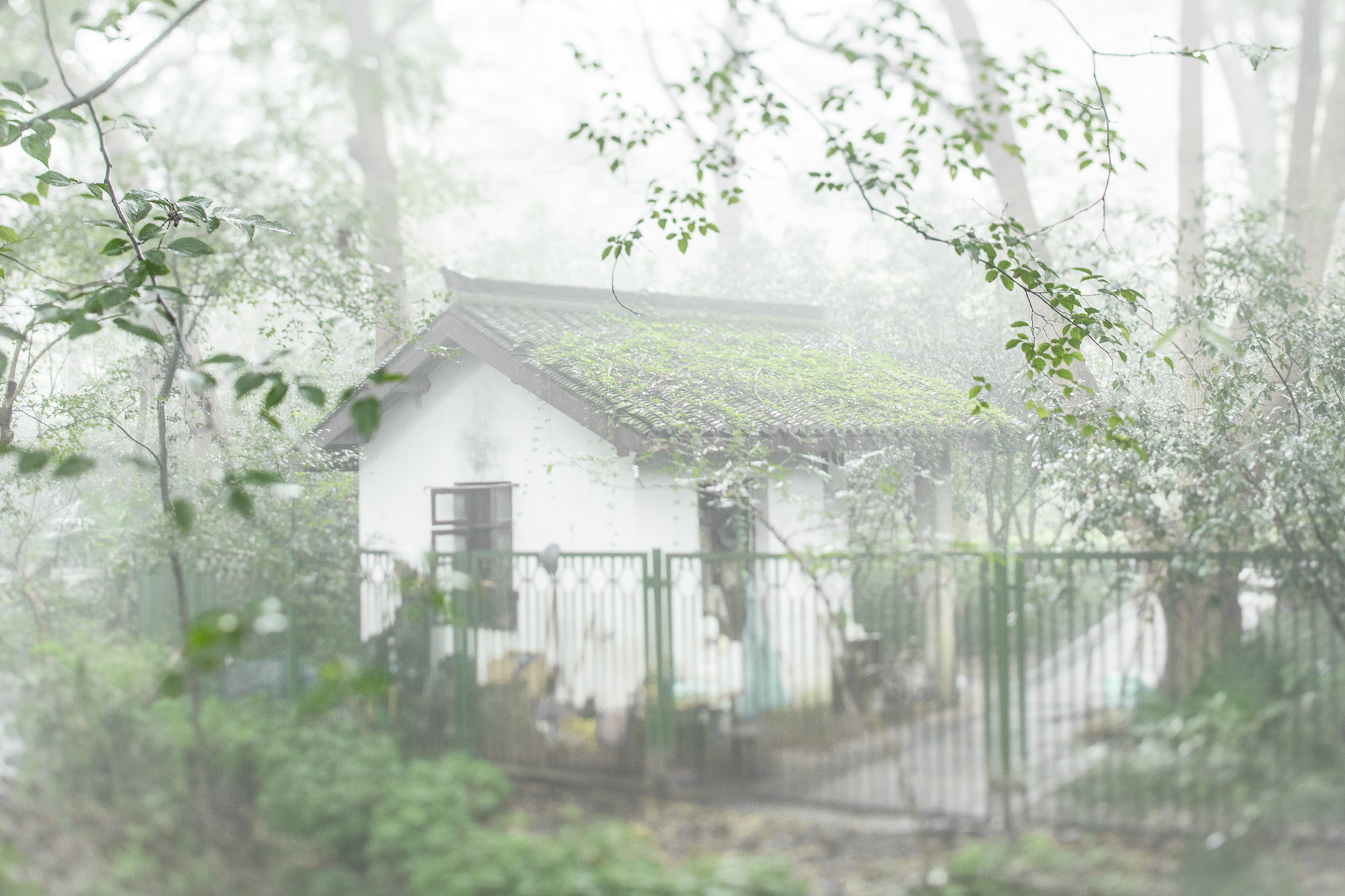 Canon EOS 6D + Canon TS-E 45mm F2.8 Tilt-Shift sample photo. House in the mist photography