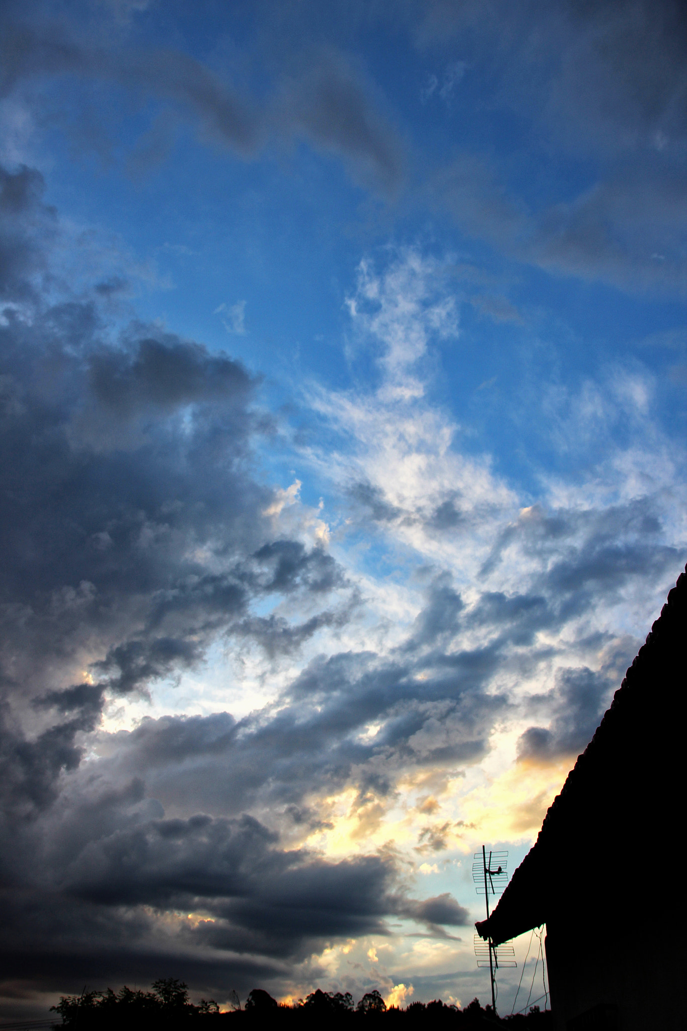 Sigma 18-250mm F3.5-6.3 DC OS HSM sample photo. Today in san roque  photography