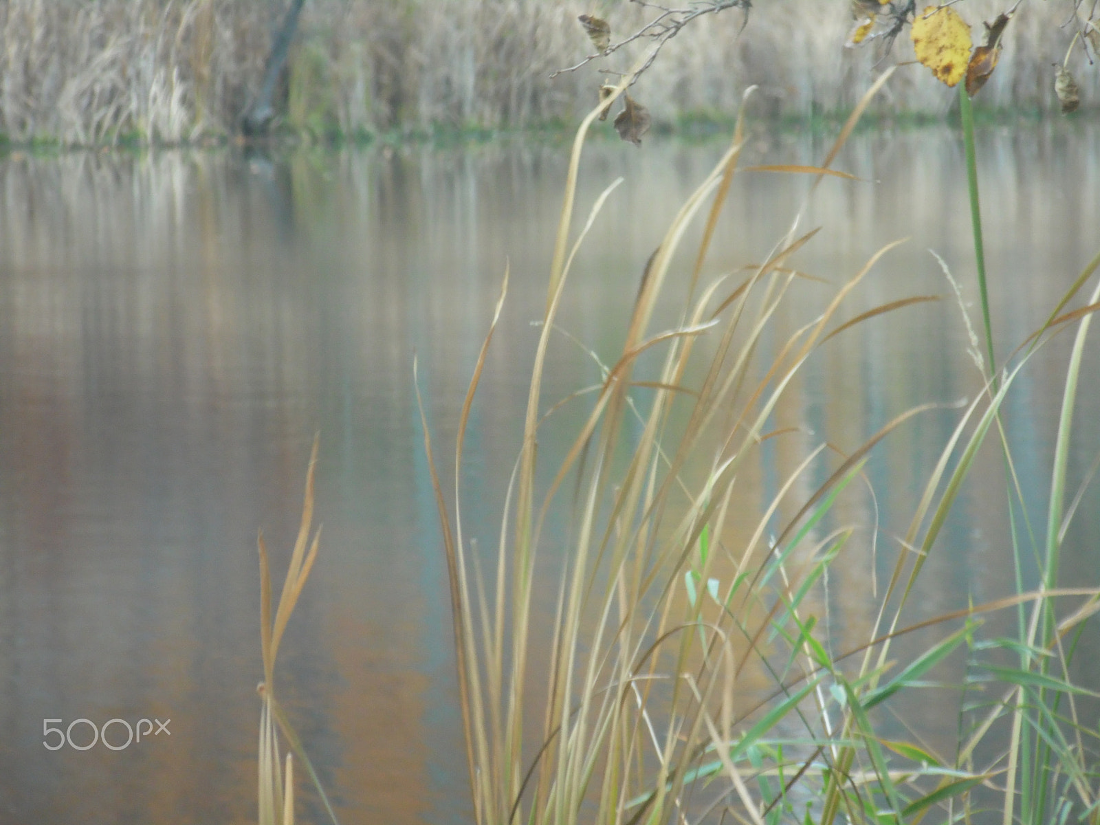 Samsung WB110/  WB111 sample photo. Black creek reflections photography