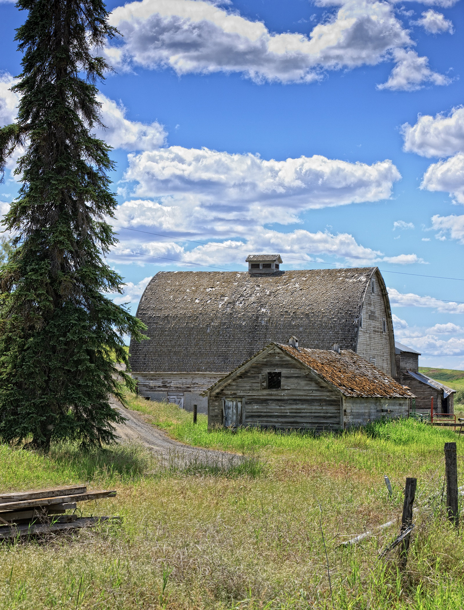 Canon EOS-1Ds Mark III sample photo. Palouse barn photography