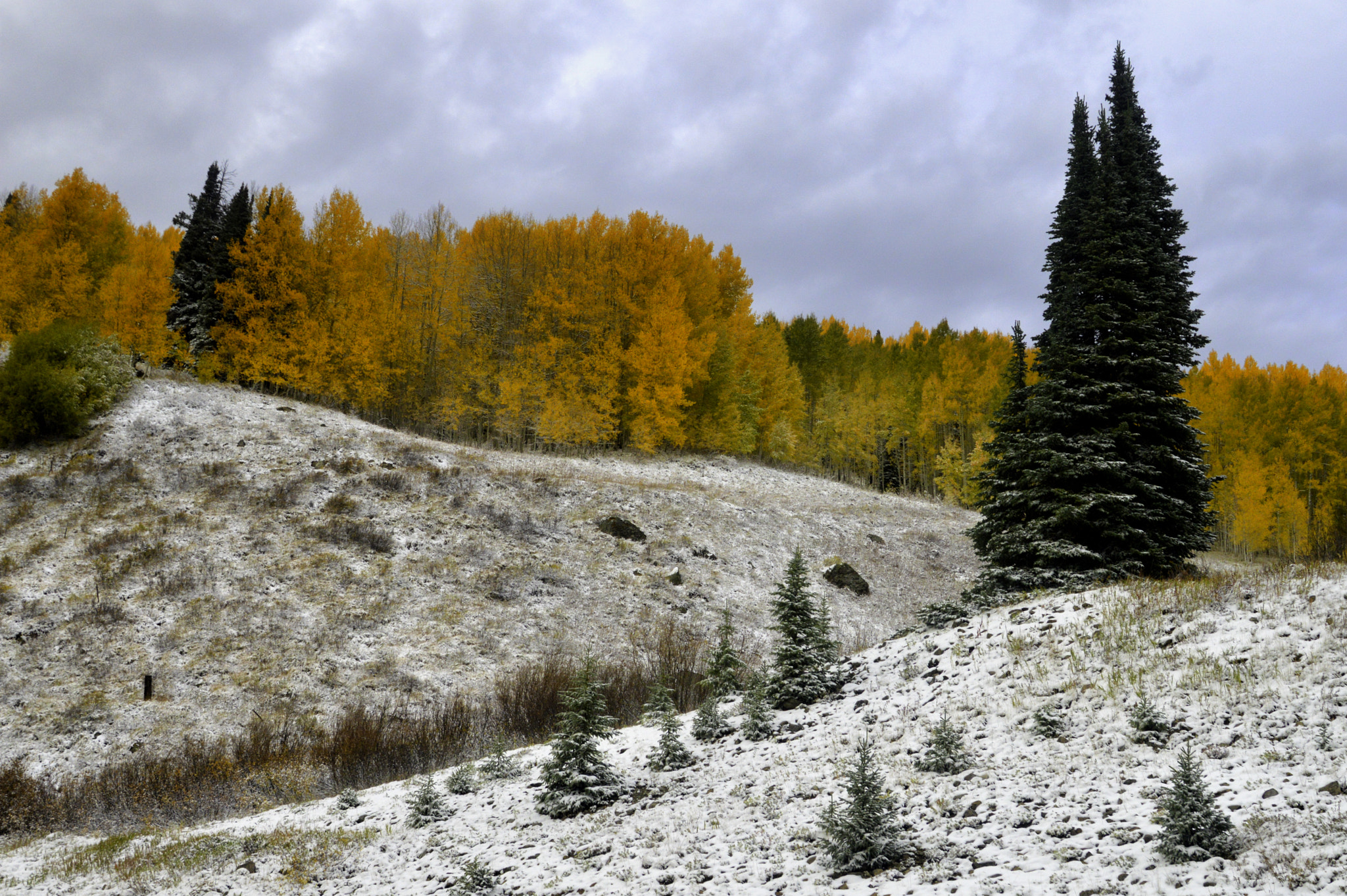Nikon D3200 sample photo. Blending photography