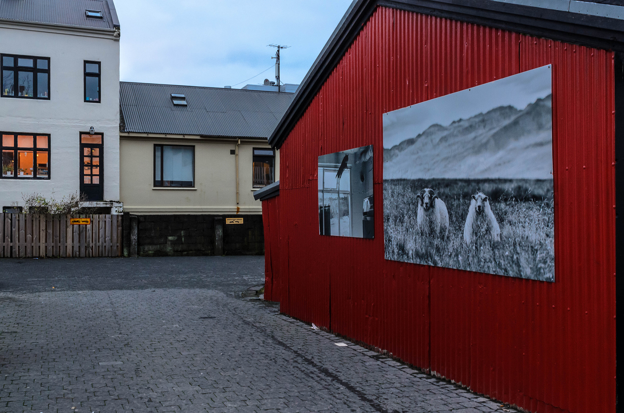 Nikon D7000 sample photo. Reykjavik streets photography