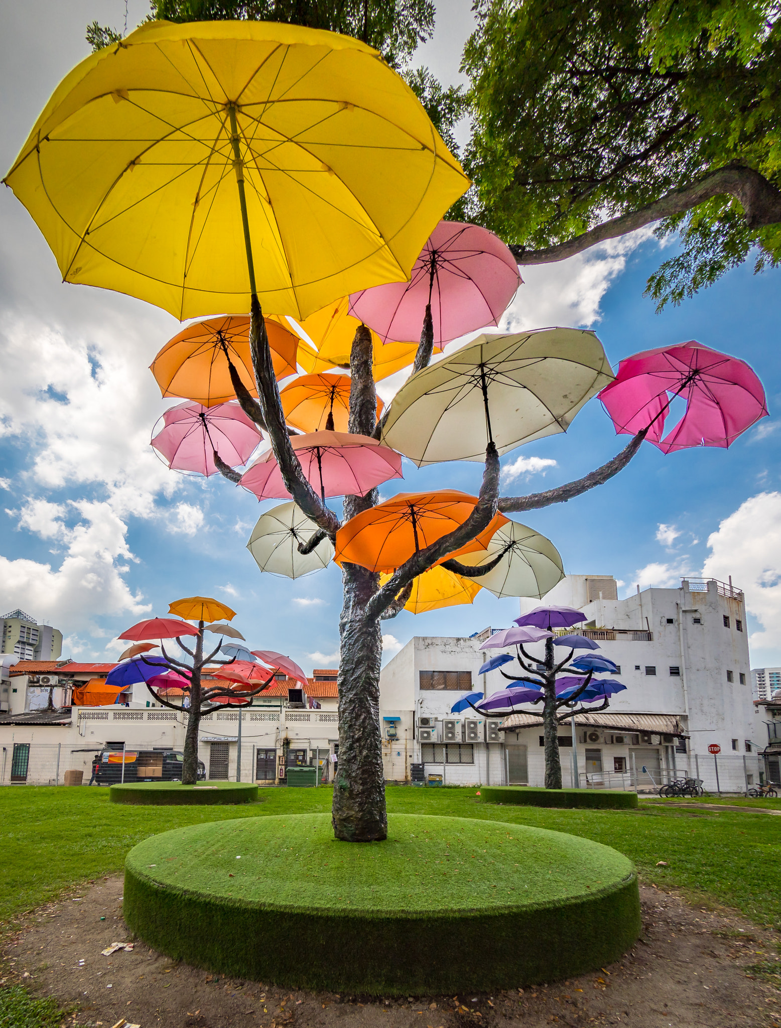 Canon EOS 5D Mark IV + Canon EF 8-15mm F4L Fisheye USM sample photo. Umbrella trees at little india (singapore) photography