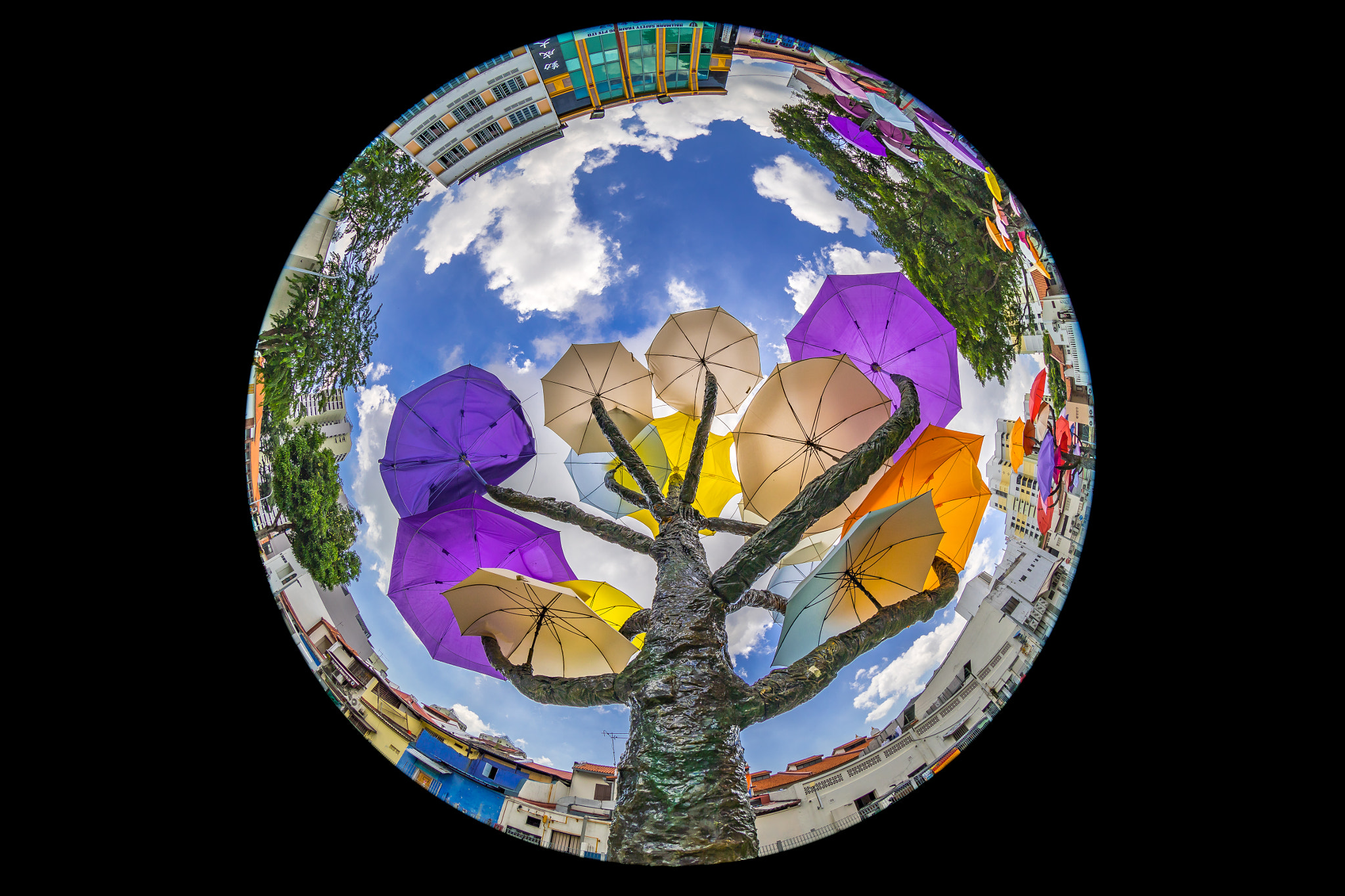 Canon EF 8-15mm F4L Fisheye USM sample photo. Umbrella trees at little india (singapore) photography