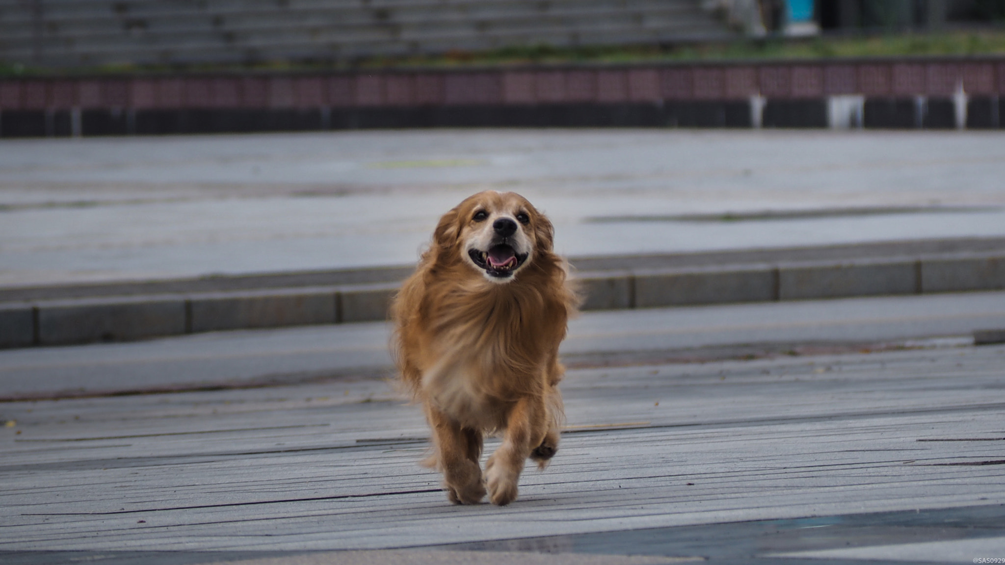 Olympus PEN E-PL7 sample photo