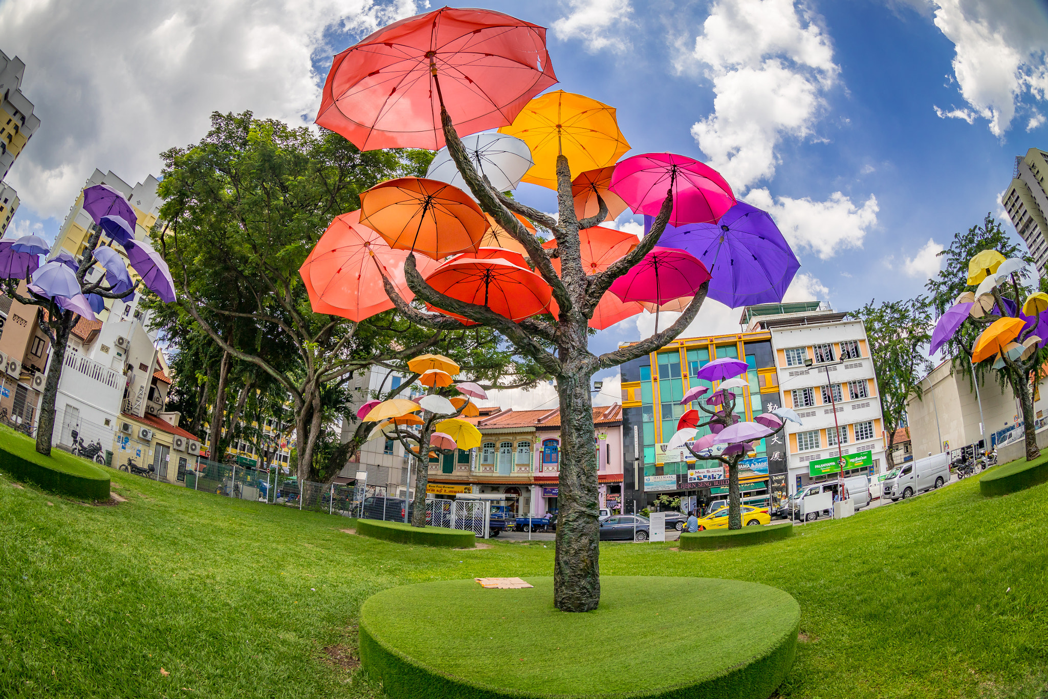 Canon EF 8-15mm F4L Fisheye USM sample photo. Umbrella trees at little india (singapore) photography