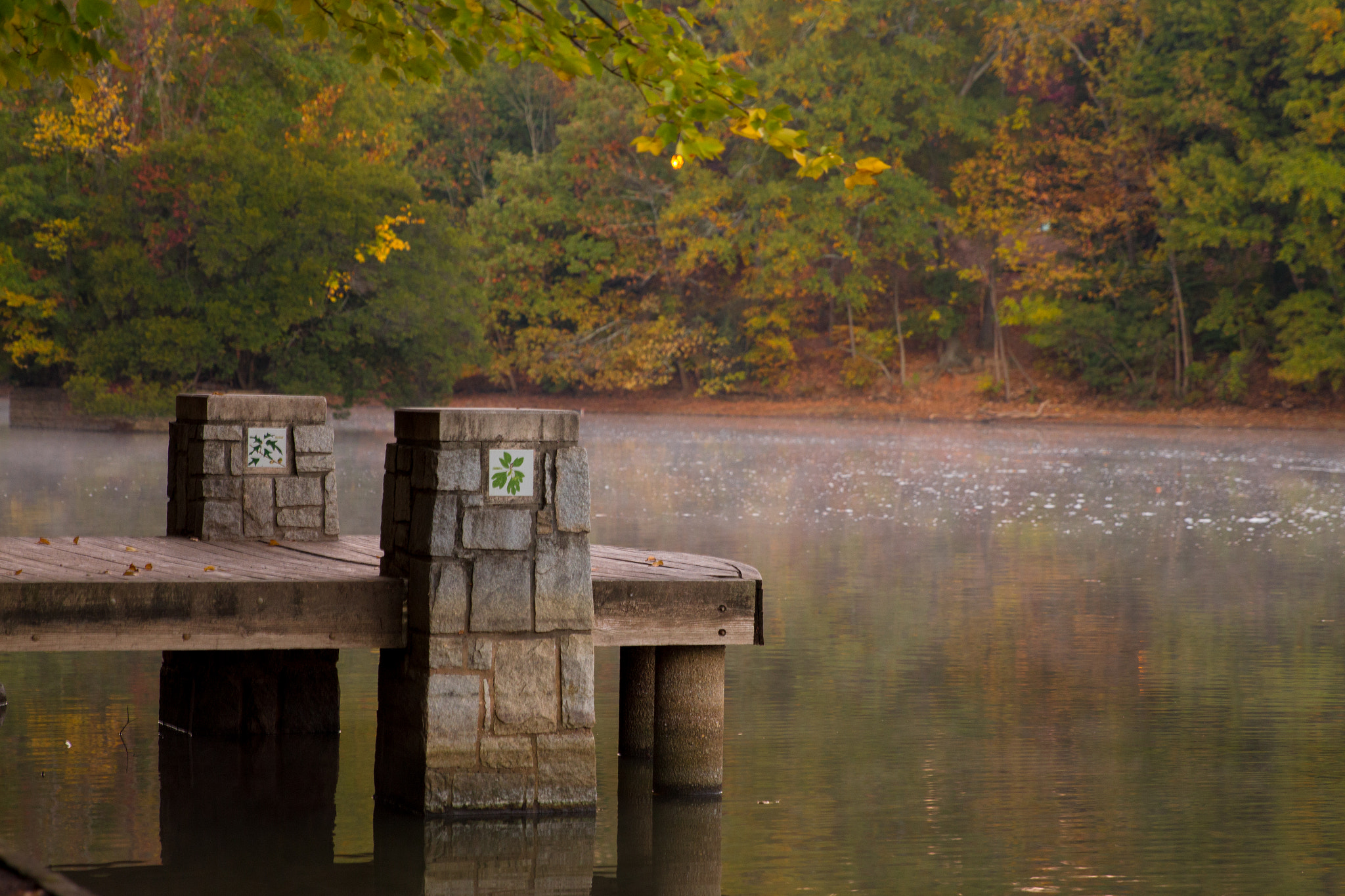 Canon EOS 650D (EOS Rebel T4i / EOS Kiss X6i) sample photo. Dock photography