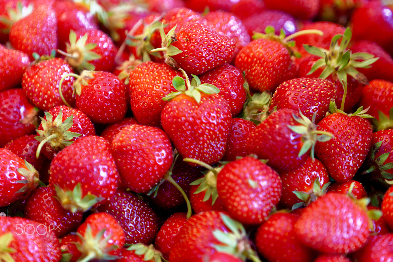 Sony FE 70-200mm F4 G OSS sample photo. Strawberries photography