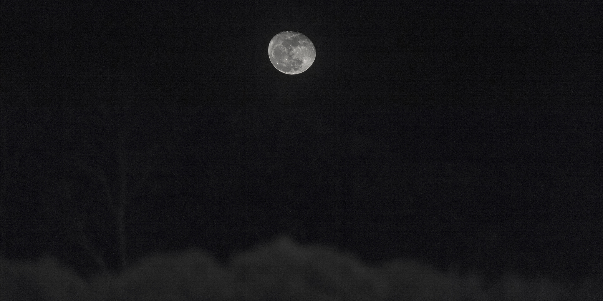 AF-S Nikkor 300mm f/2.8D IF-ED II sample photo. Moonovertrees photography