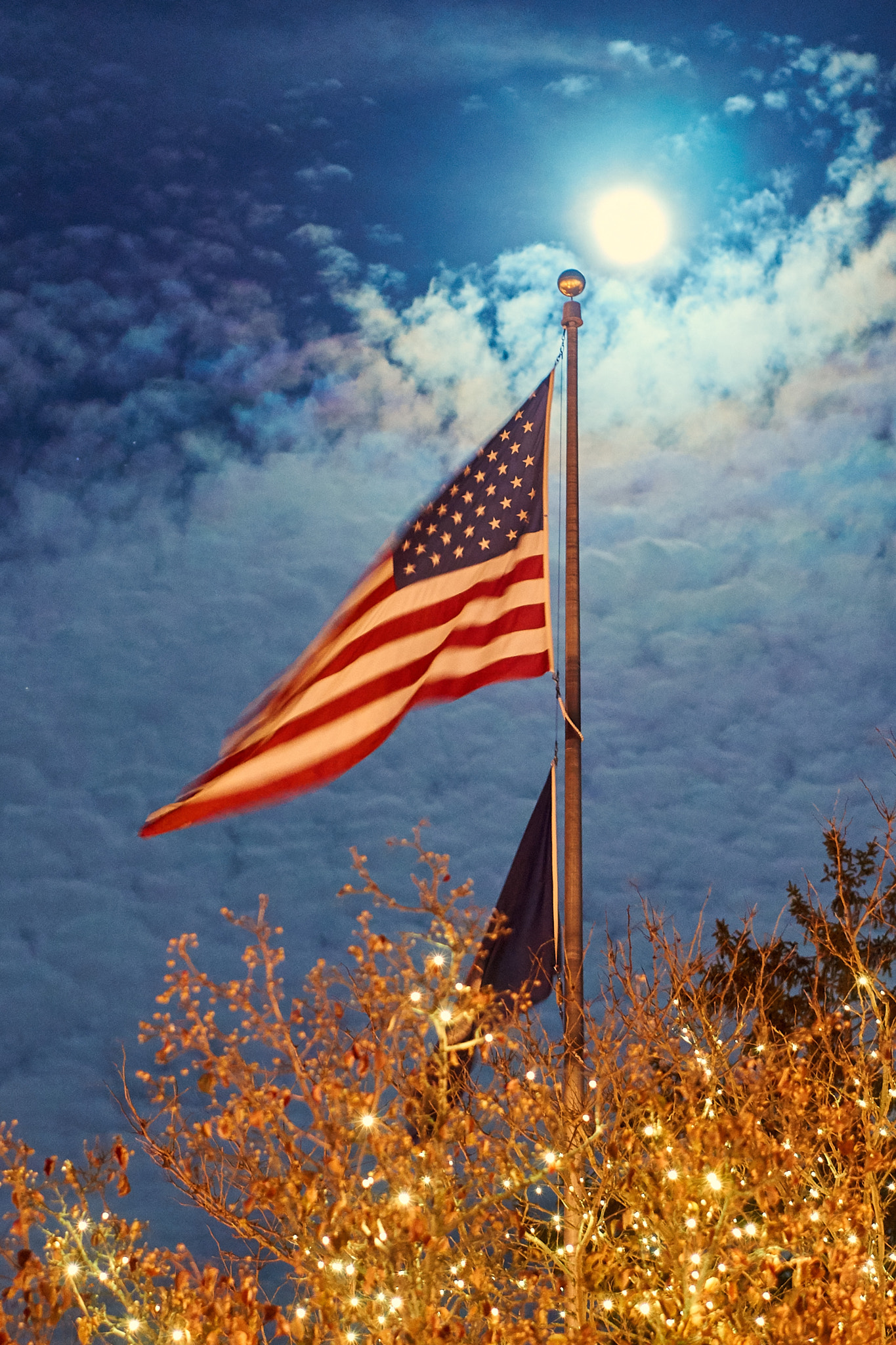 Sony Alpha a5000 (ILCE 5000) + E 50mm F1.8 OSS sample photo. Flag i photography
