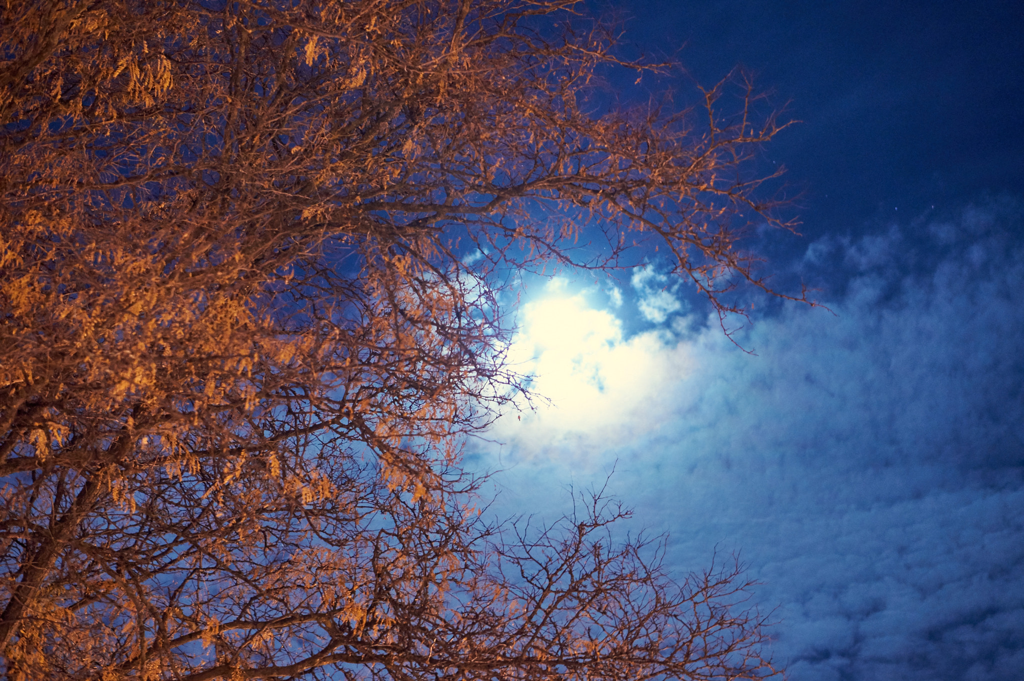 Sony Alpha a5000 (ILCE 5000) sample photo. Moon behind clouds photography