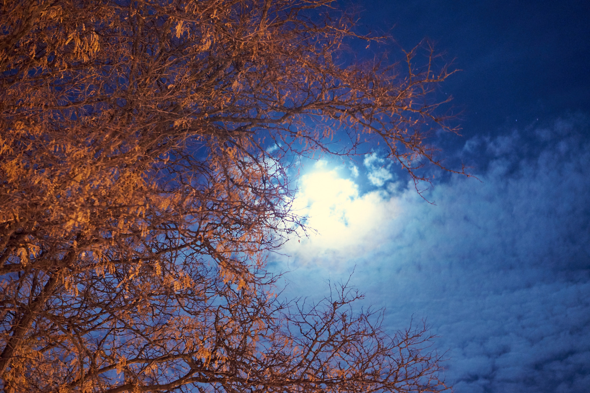 Sony Alpha a5000 (ILCE 5000) + E 50mm F1.8 OSS sample photo. Moon behind clouds photography