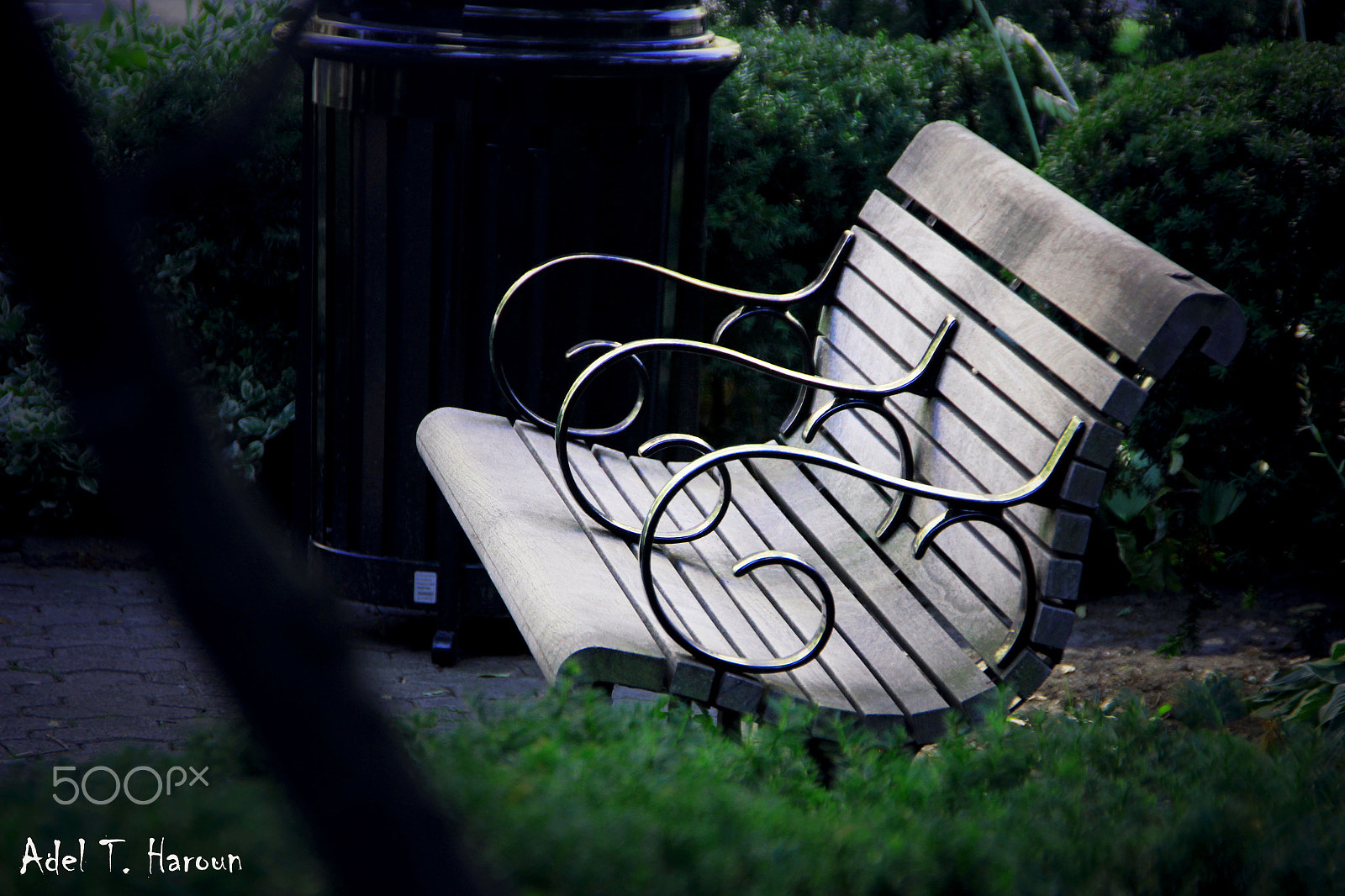 Sigma 18-250mm F3.5-6.3 DC OS HSM sample photo. No one photography