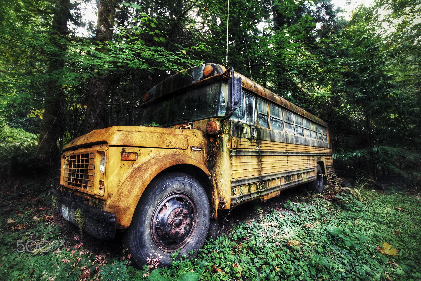 Canon EF-S 10-18mm F4.5–5.6 IS STM sample photo. Old bus in the woods. photography