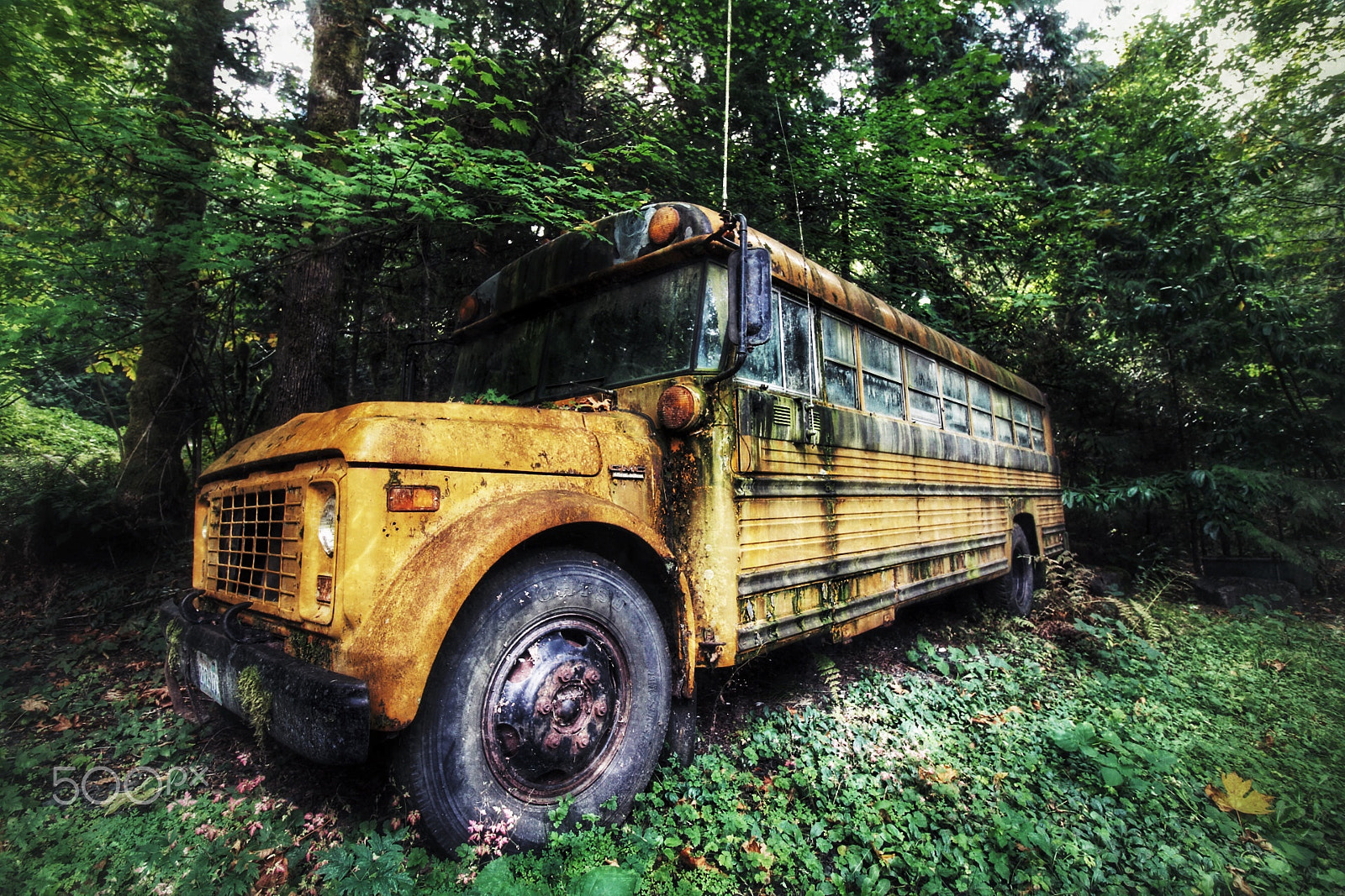Canon EOS 1300D (EOS Rebel T6 / EOS Kiss X80) sample photo. Old bus in the woods. photography