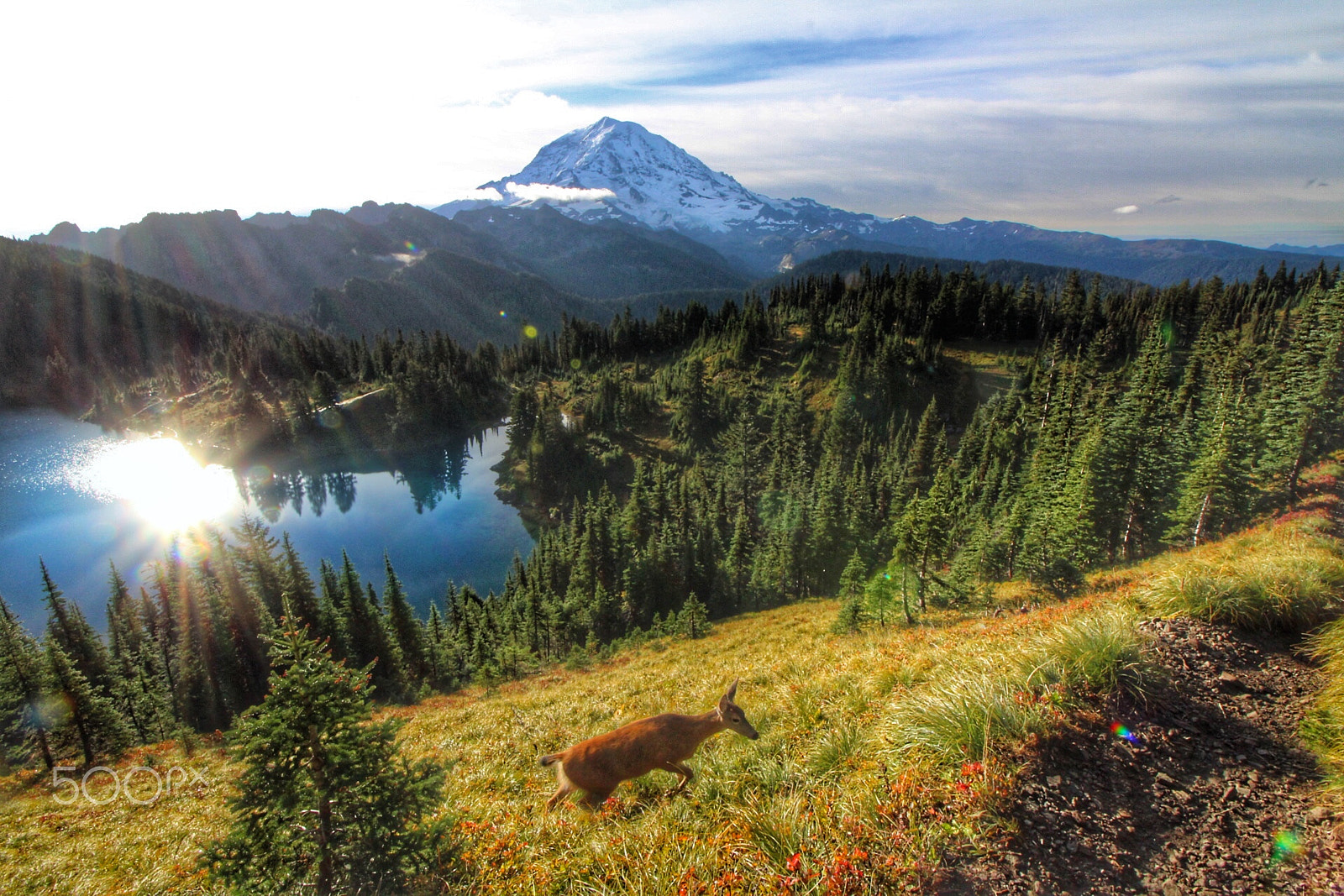 Canon EOS 1300D (EOS Rebel T6 / EOS Kiss X80) + Canon EF-S 10-18mm F4.5–5.6 IS STM sample photo. Early morning sunrise on mt. rainier photography