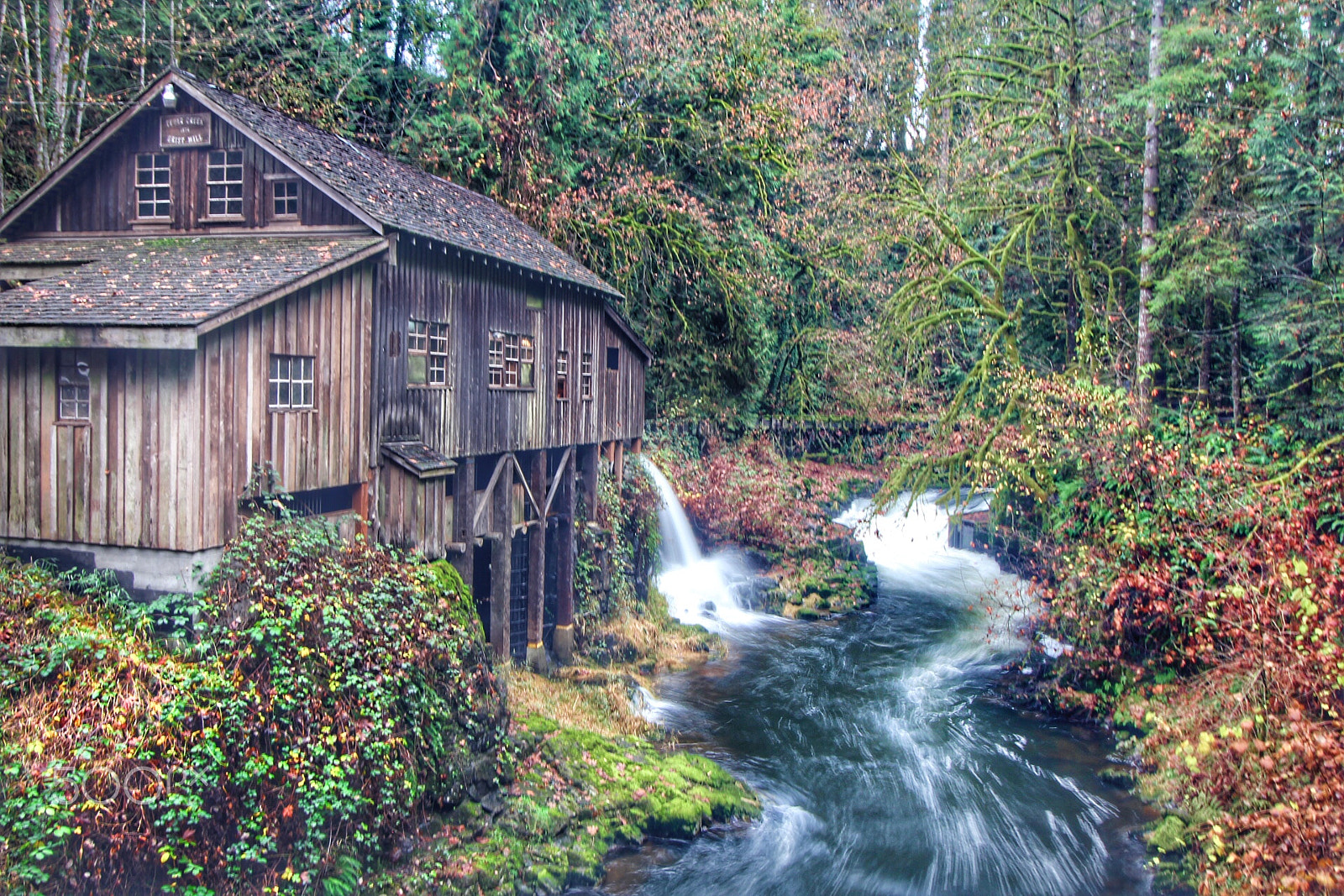 Canon EOS 1300D (EOS Rebel T6 / EOS Kiss X80) sample photo. Old mill in the woods. photography