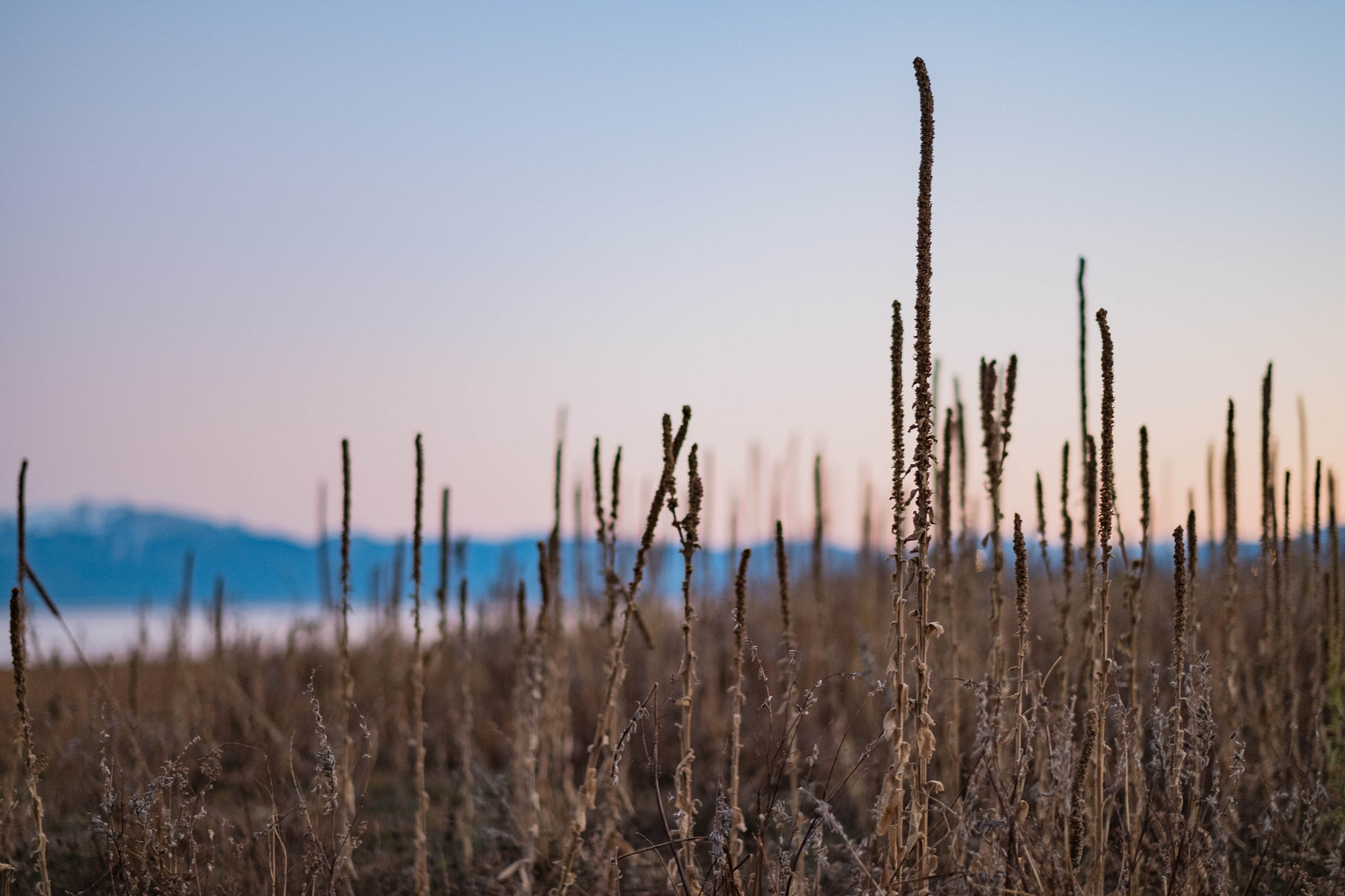 Fujifilm X-Pro1 sample photo. Fingers photography