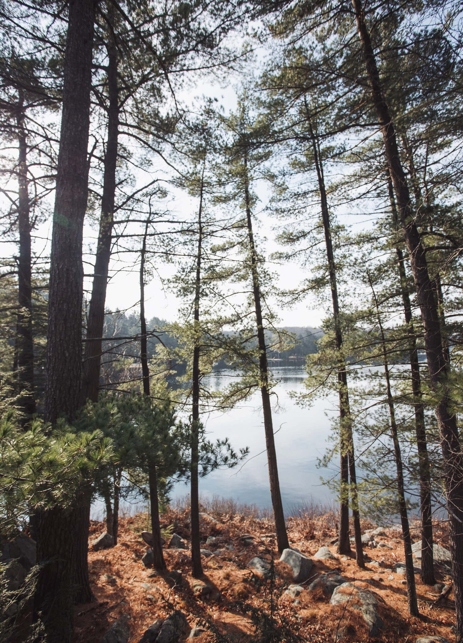 Canon EOS 5DS sample photo. Bruce lake, on photography