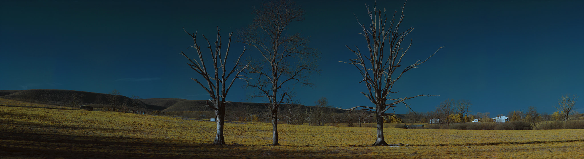 Canon EOS 600D (Rebel EOS T3i / EOS Kiss X5) + Sigma 85mm F1.4 EX DG HSM sample photo. Pennsylvania farm panorama photography