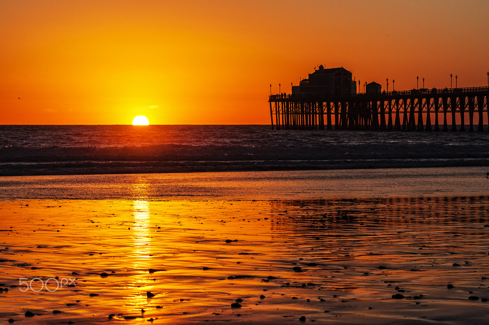 Nikon D700 sample photo. Golden sunset at the oceanside pier - november 17, 2016 photography