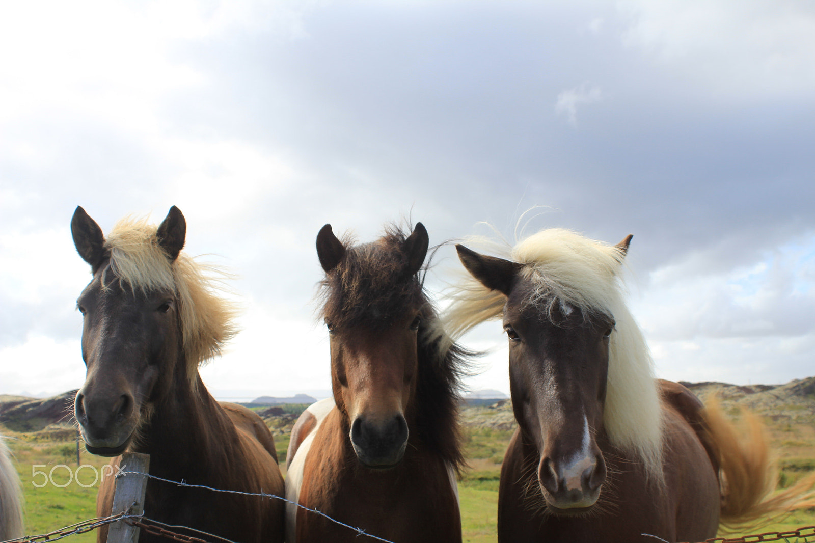 Canon EF 28-80mm f/3.5-5.6 sample photo. Iceland photography