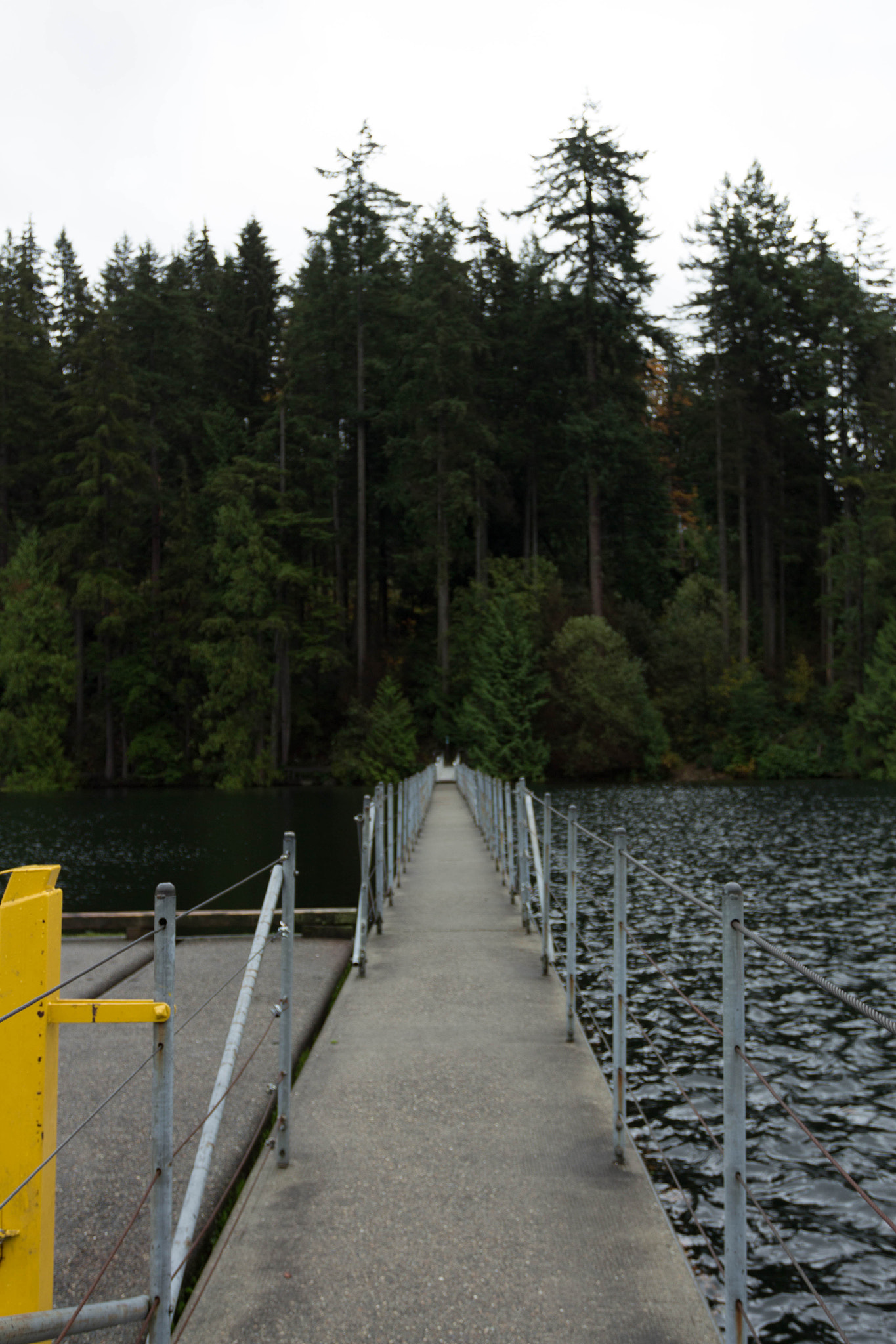 Canon EOS 700D (EOS Rebel T5i / EOS Kiss X7i) + Canon EF 17-40mm F4L USM sample photo. Pnw photography