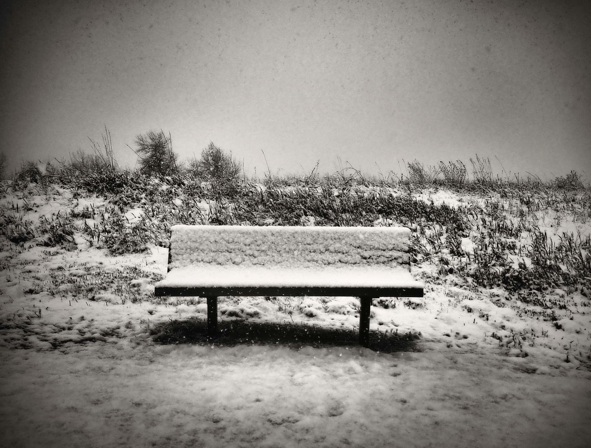 Olympus Air A01 sample photo. Lonely bench photography