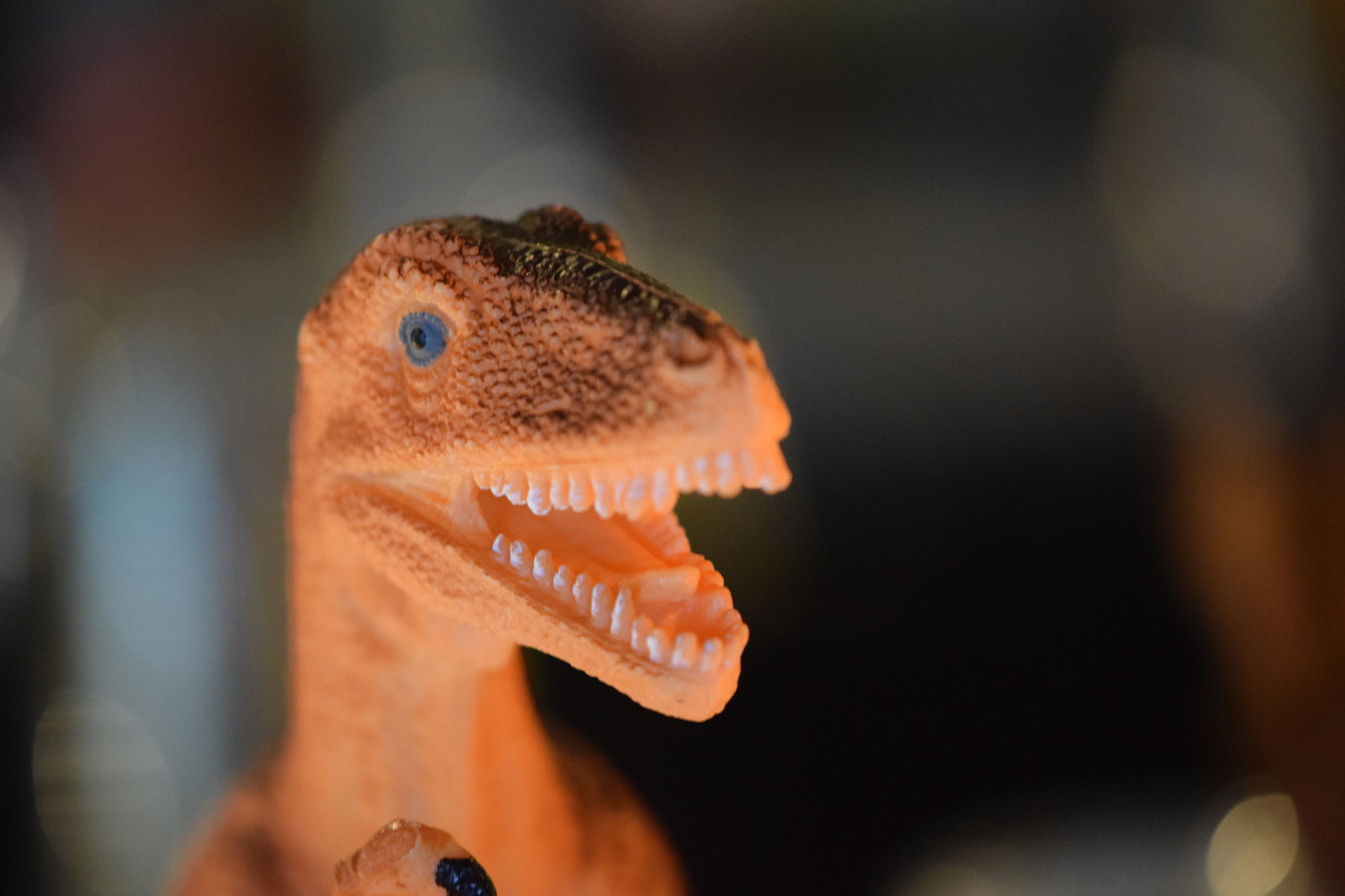 Nikon AF-S DX Micro-Nikkor 85mm F3.5G ED VR sample photo. Plastic beast photography
