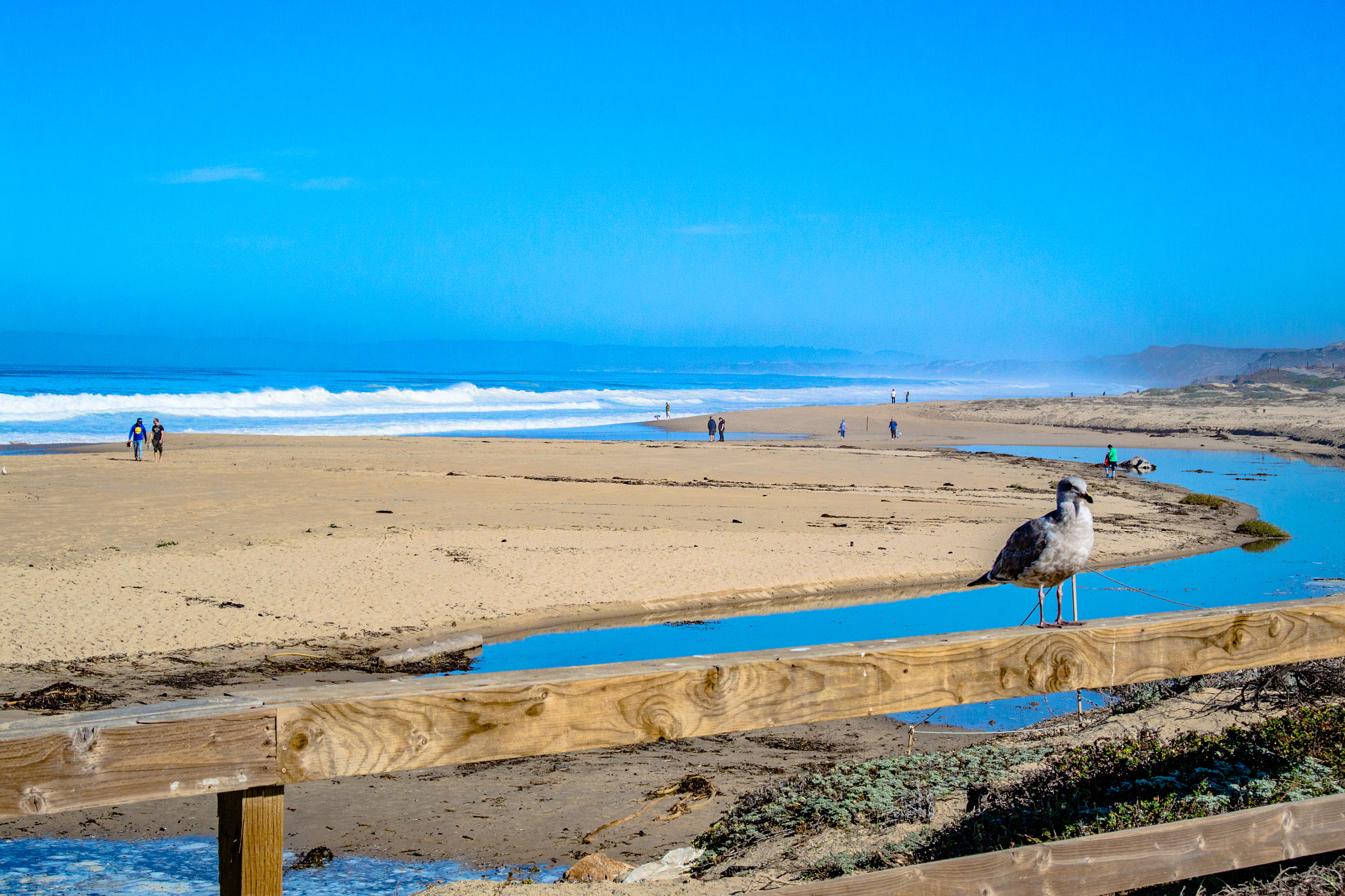 Nikon 1 Nikkor AW 11-27.5mm F3.5-5.6 sample photo. Pacific coast photography