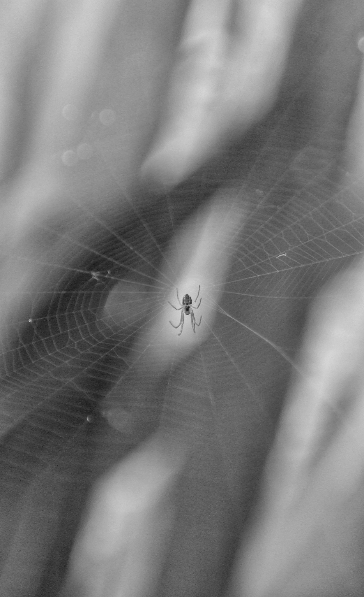 Samsung NX200 sample photo. Lttle things photography