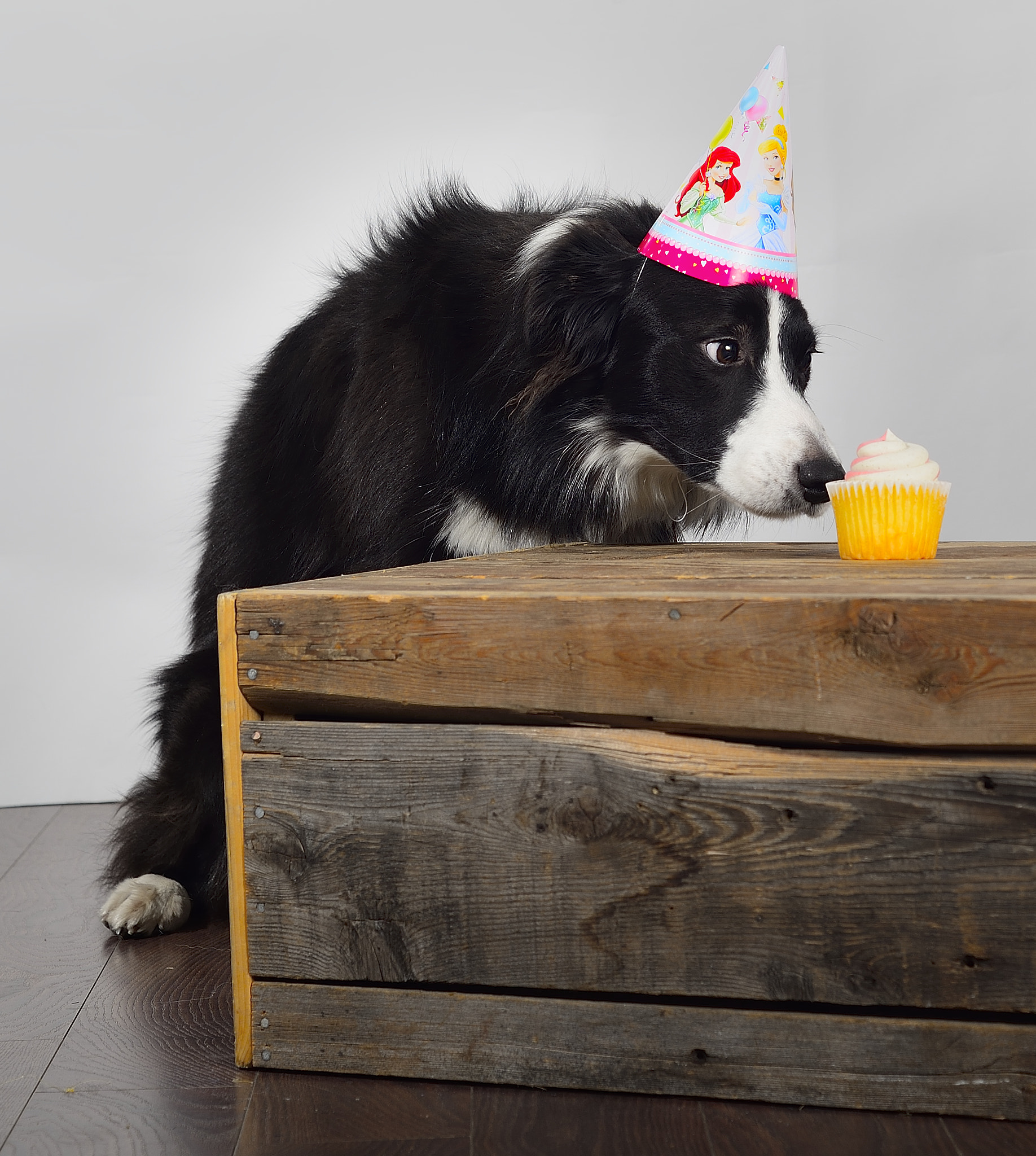Nikon D610 + AF Nikkor 50mm f/1.8 sample photo. Happy birthday photography