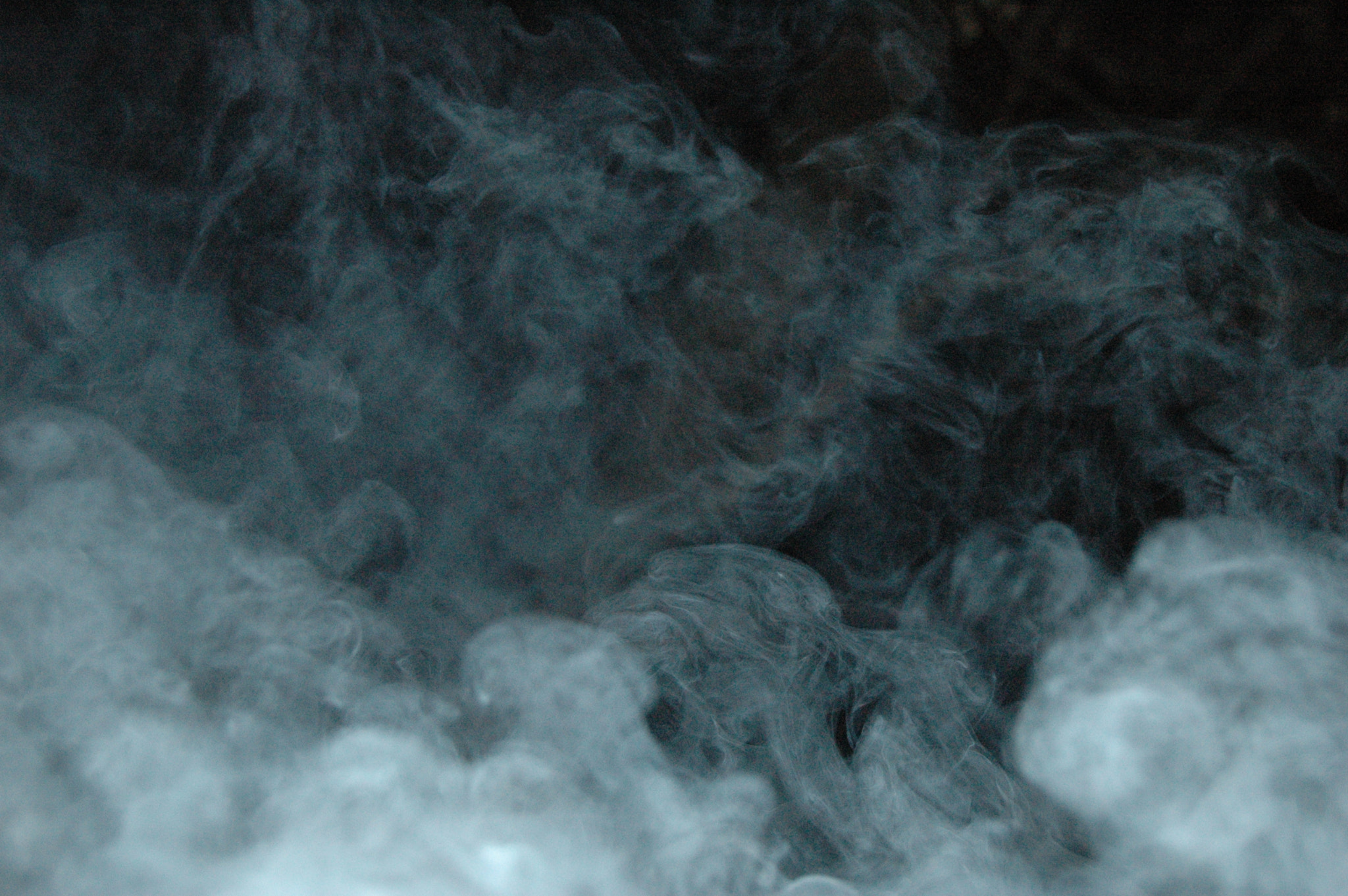Nikon D70 sample photo. You can trust me photography