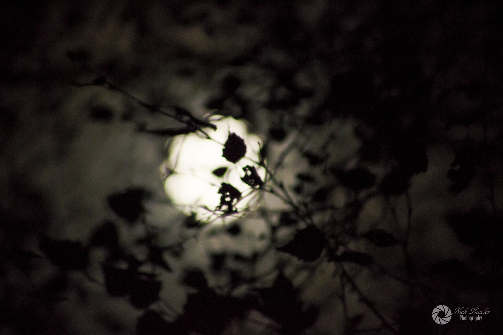 Canon EOS 100D (EOS Rebel SL1 / EOS Kiss X7) + EF75-300mm f/4-5.6 sample photo. Supermoon photography