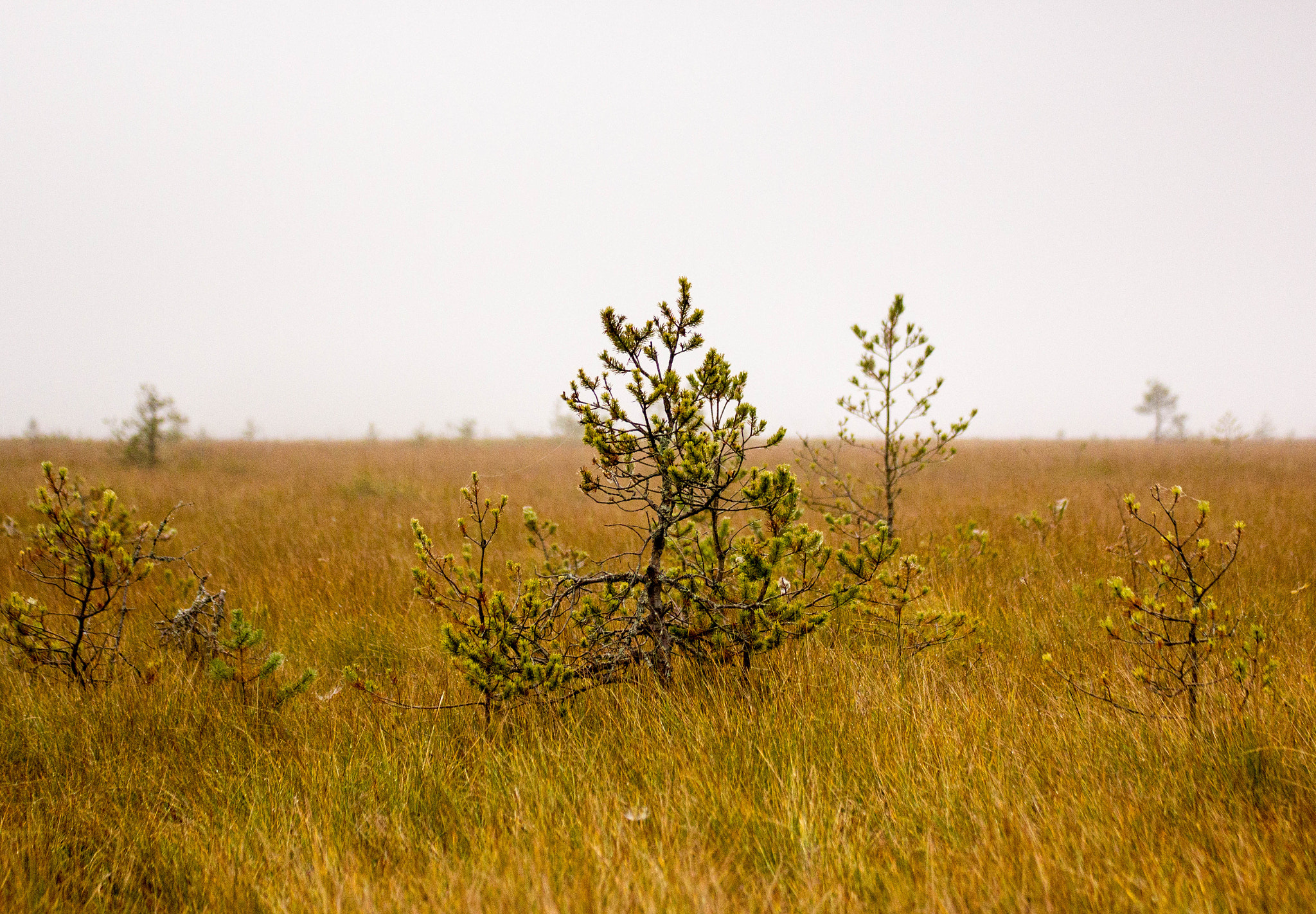 Tamron SP 35mm F1.8 Di VC USD sample photo. Valkmusa nationalpark photography