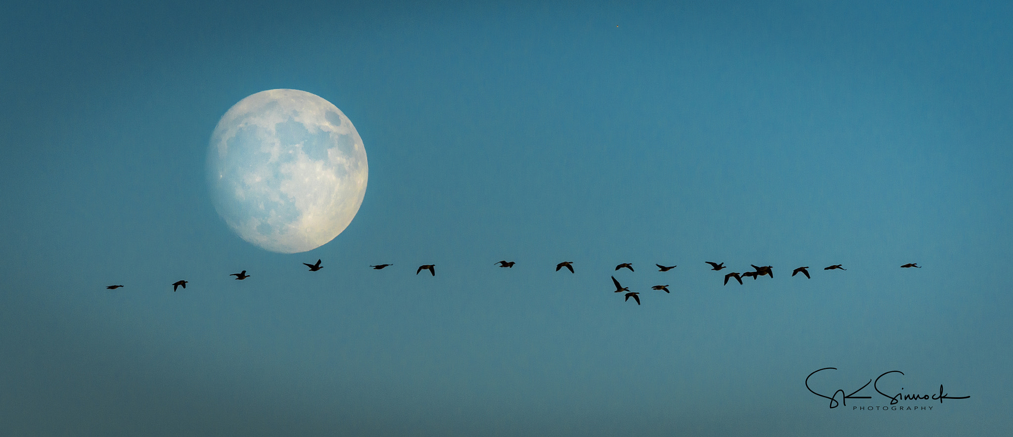 Nikon D800 sample photo. Geese and super moon photography